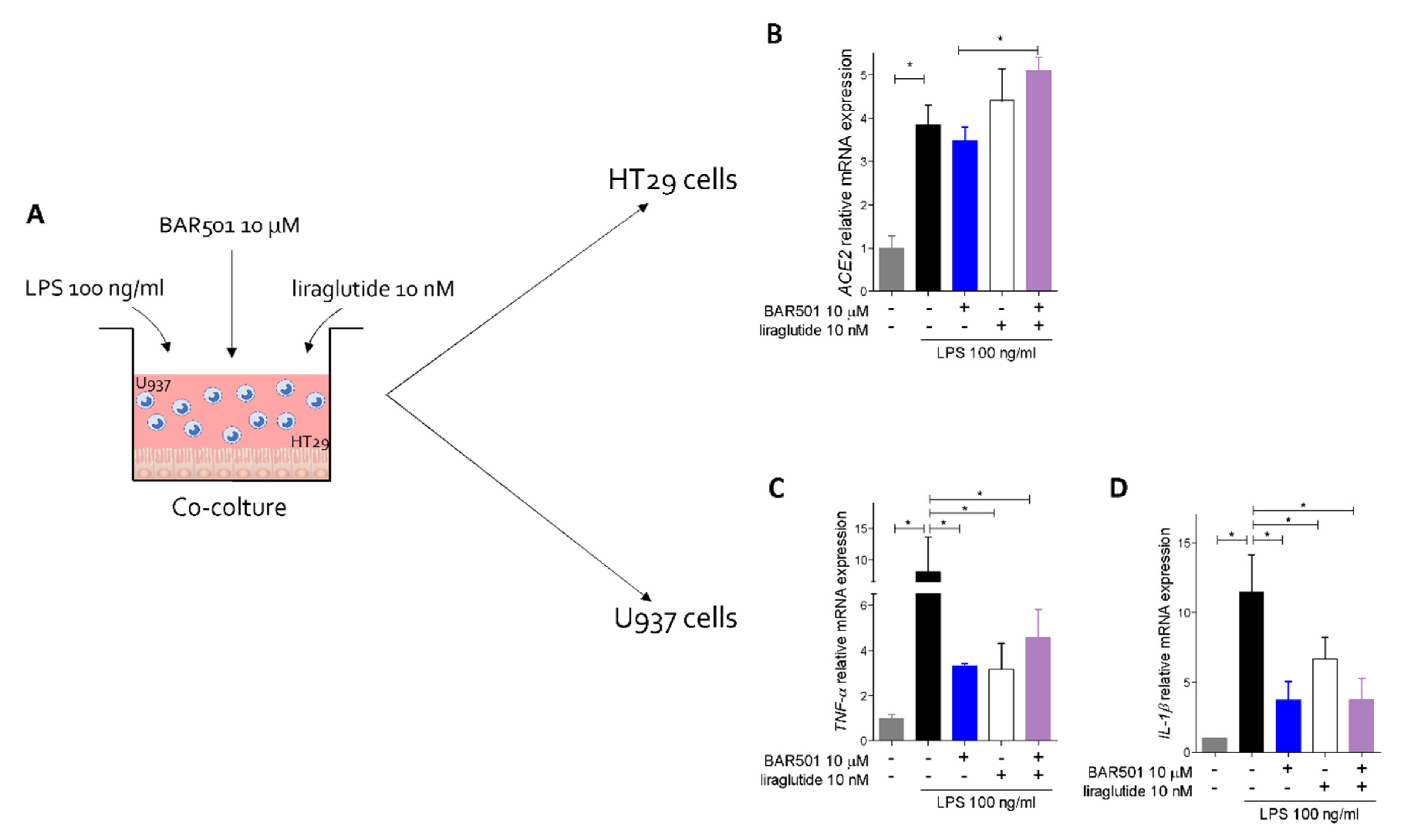 Cells 11 01187 g009 Cells 11 01187 g009