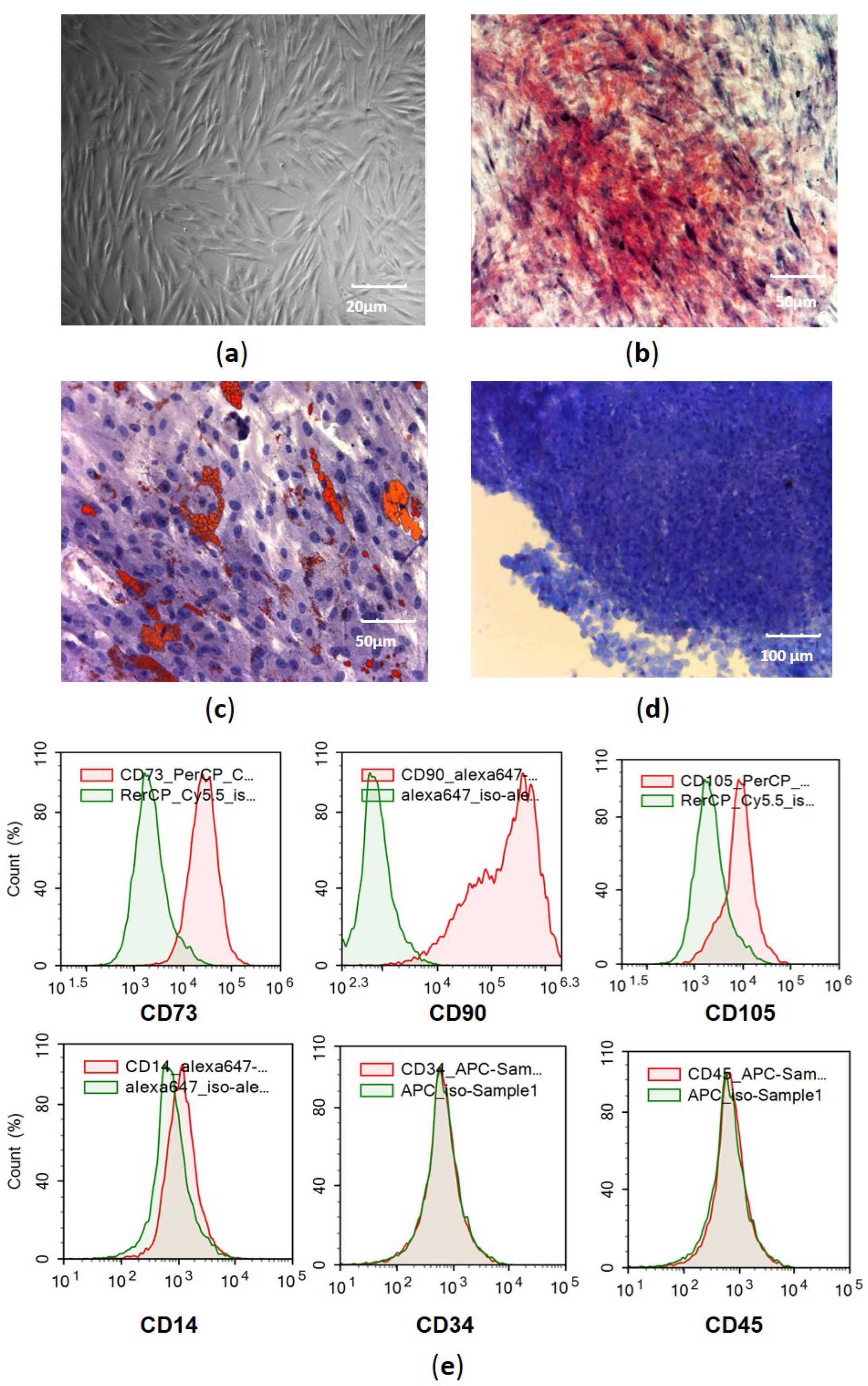 Cells 11 01210 g001 Cells 11 01210 g001