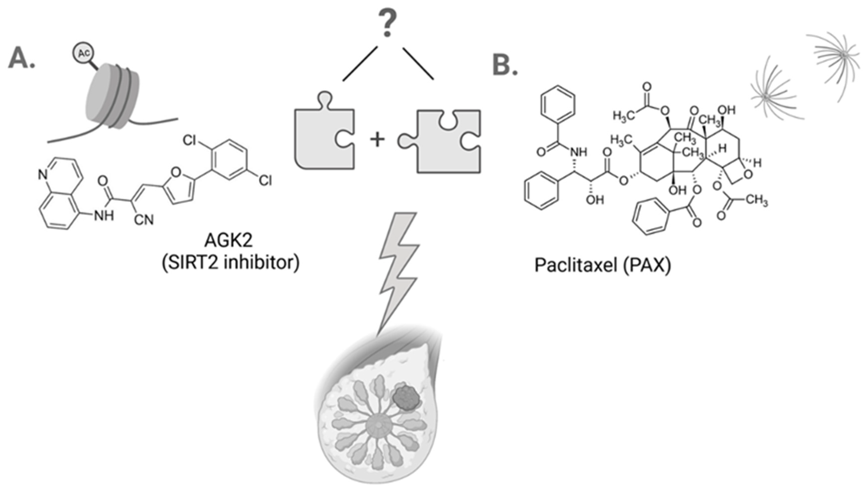 Cells 11 01211 g001 Cells 11 01211 g001