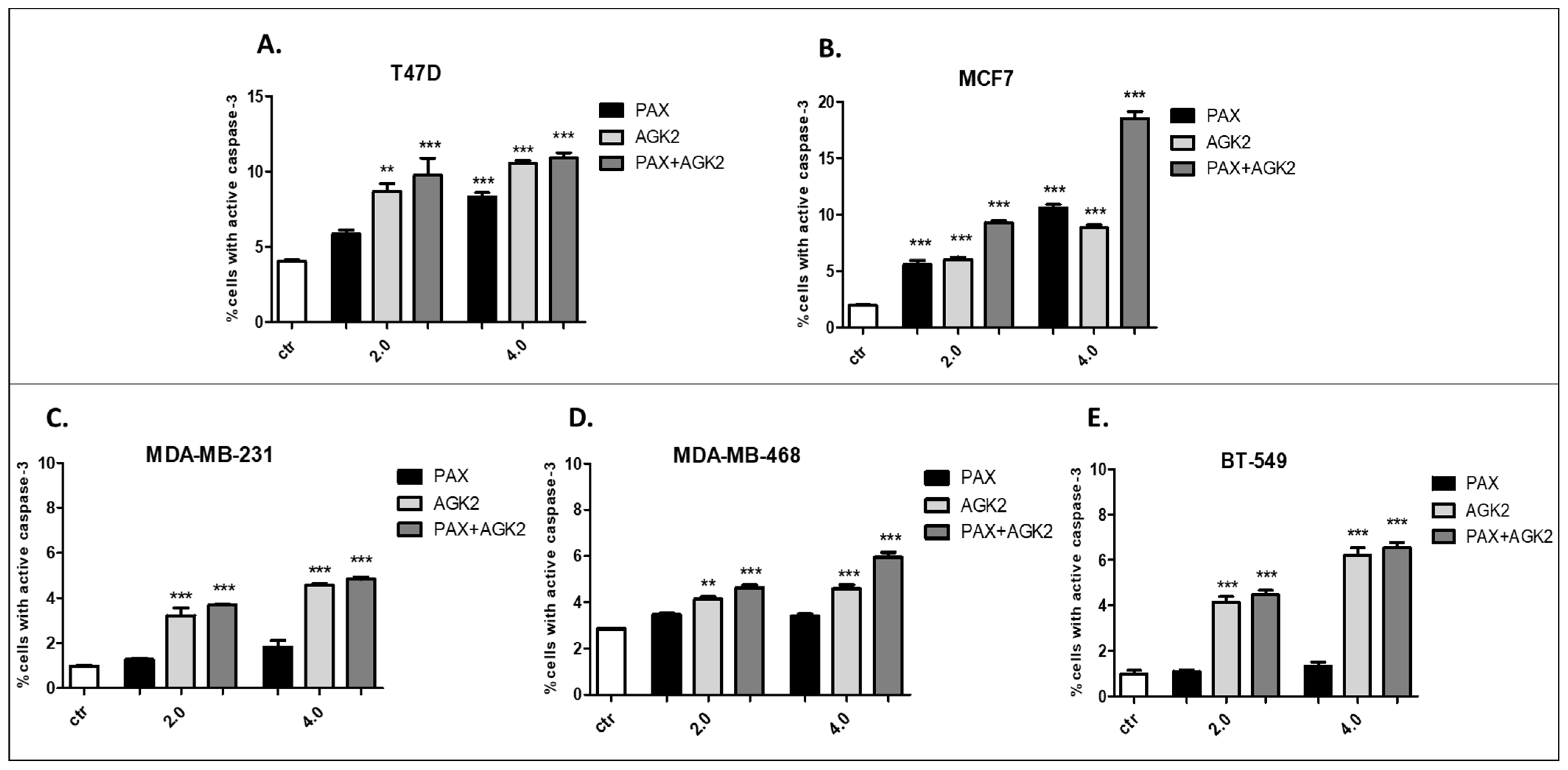 Cells 11 01211 g014 Cells 11 01211 g014