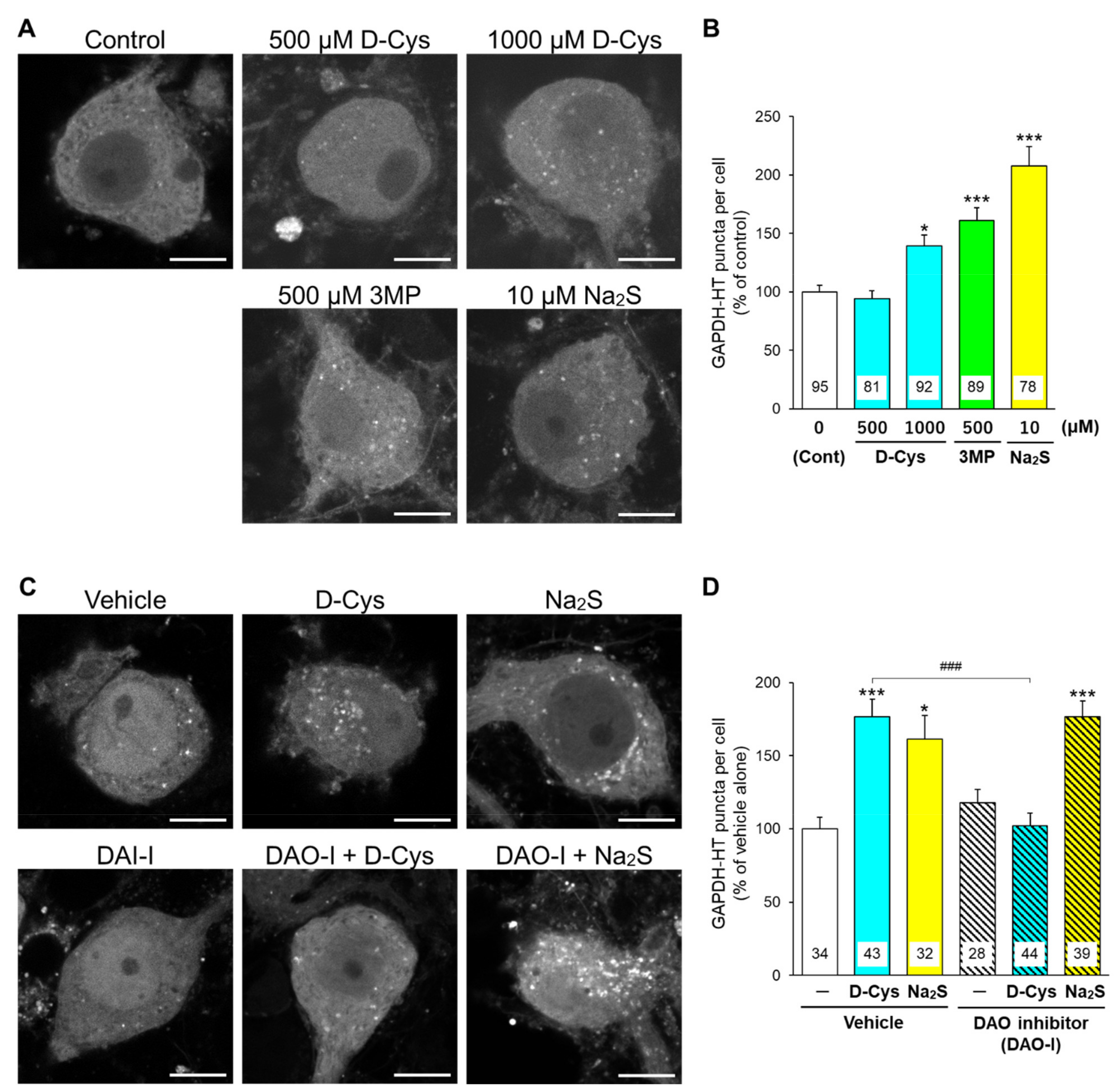 Cells 11 01230 g002 Cells 11 01230 g002
