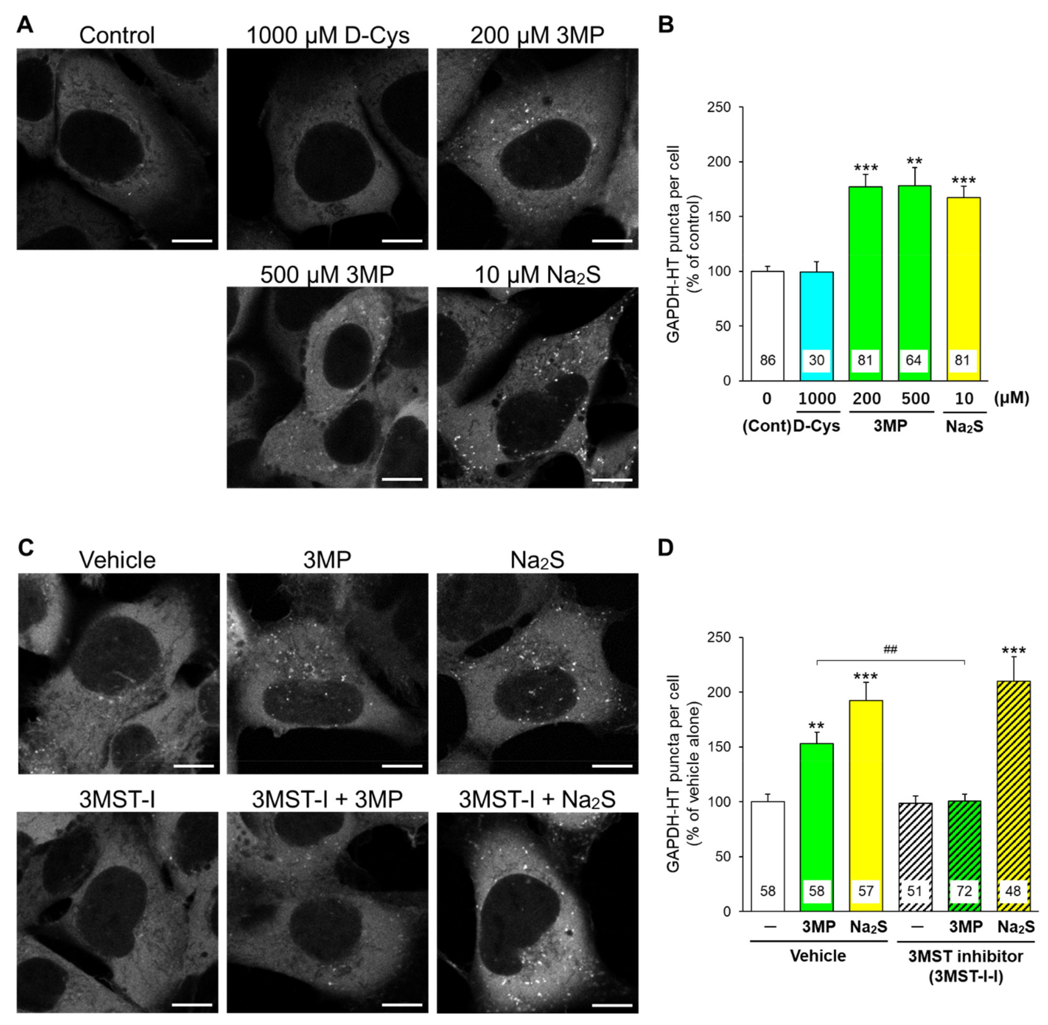 Cells 11 01230 g003 Cells 11 01230 g003