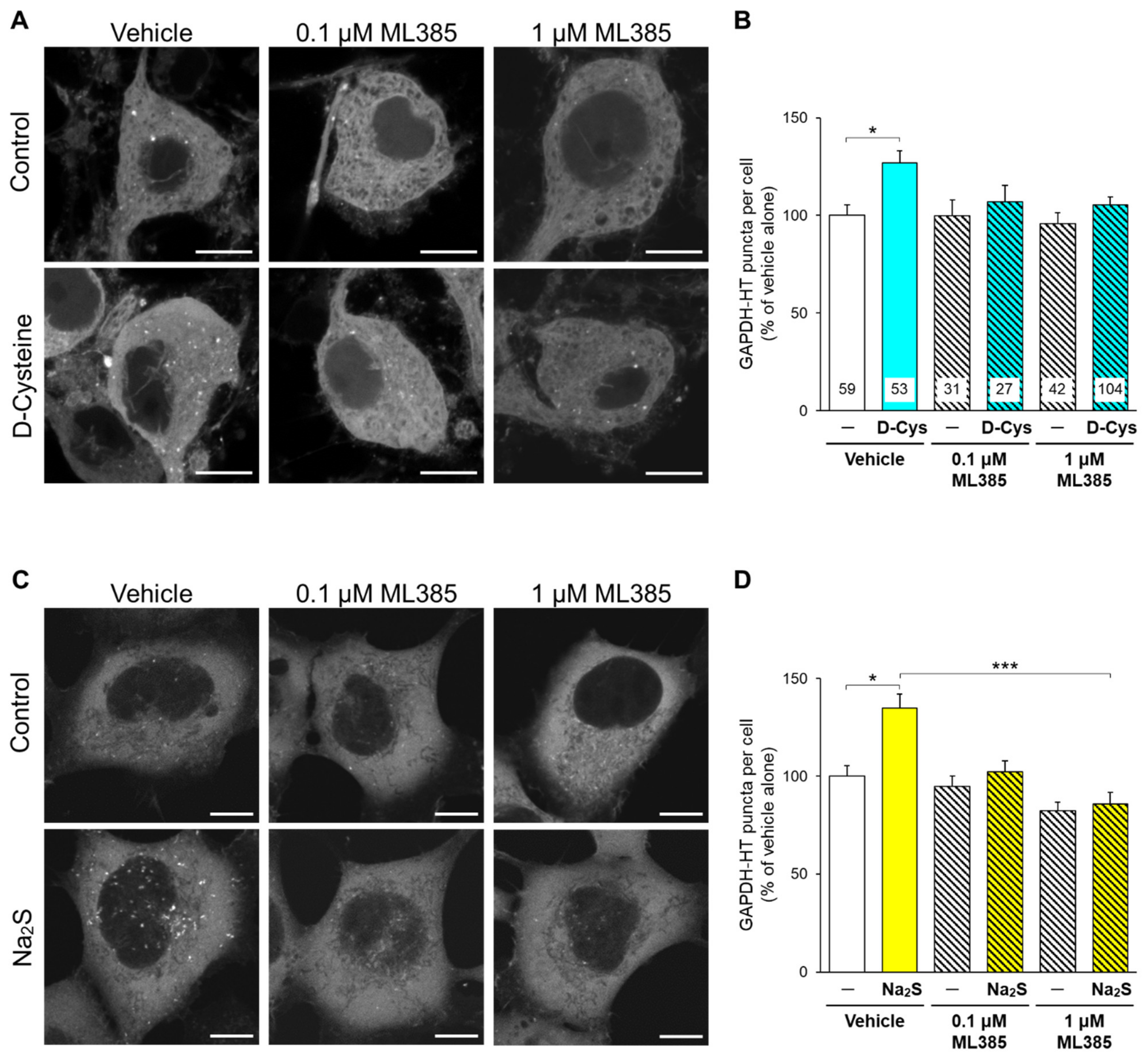 Cells 11 01230 g005 Cells 11 01230 g005