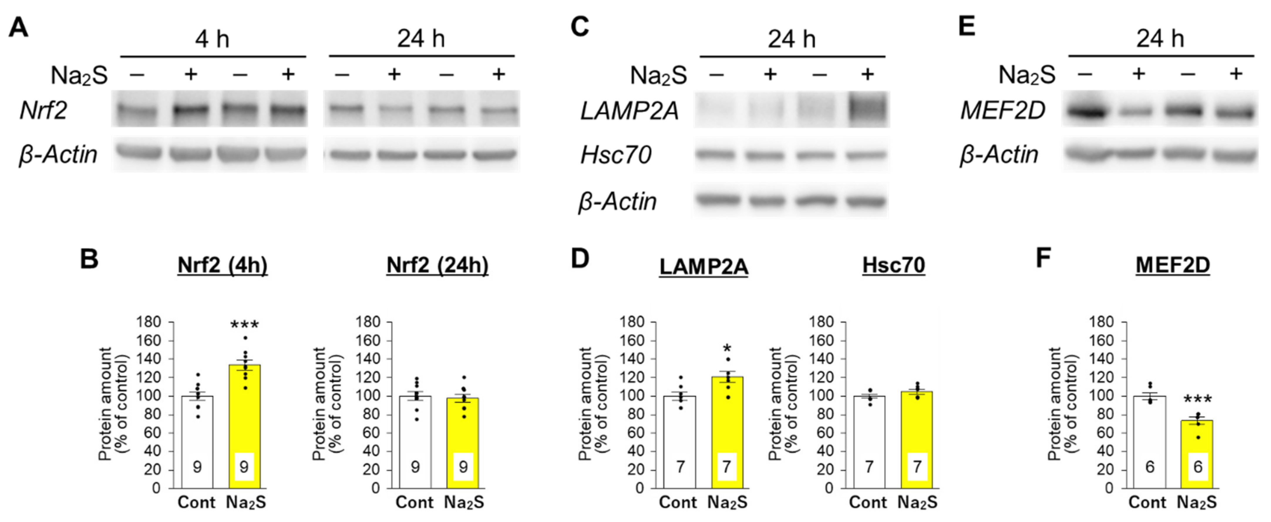 Cells 11 01230 g007 Cells 11 01230 g007