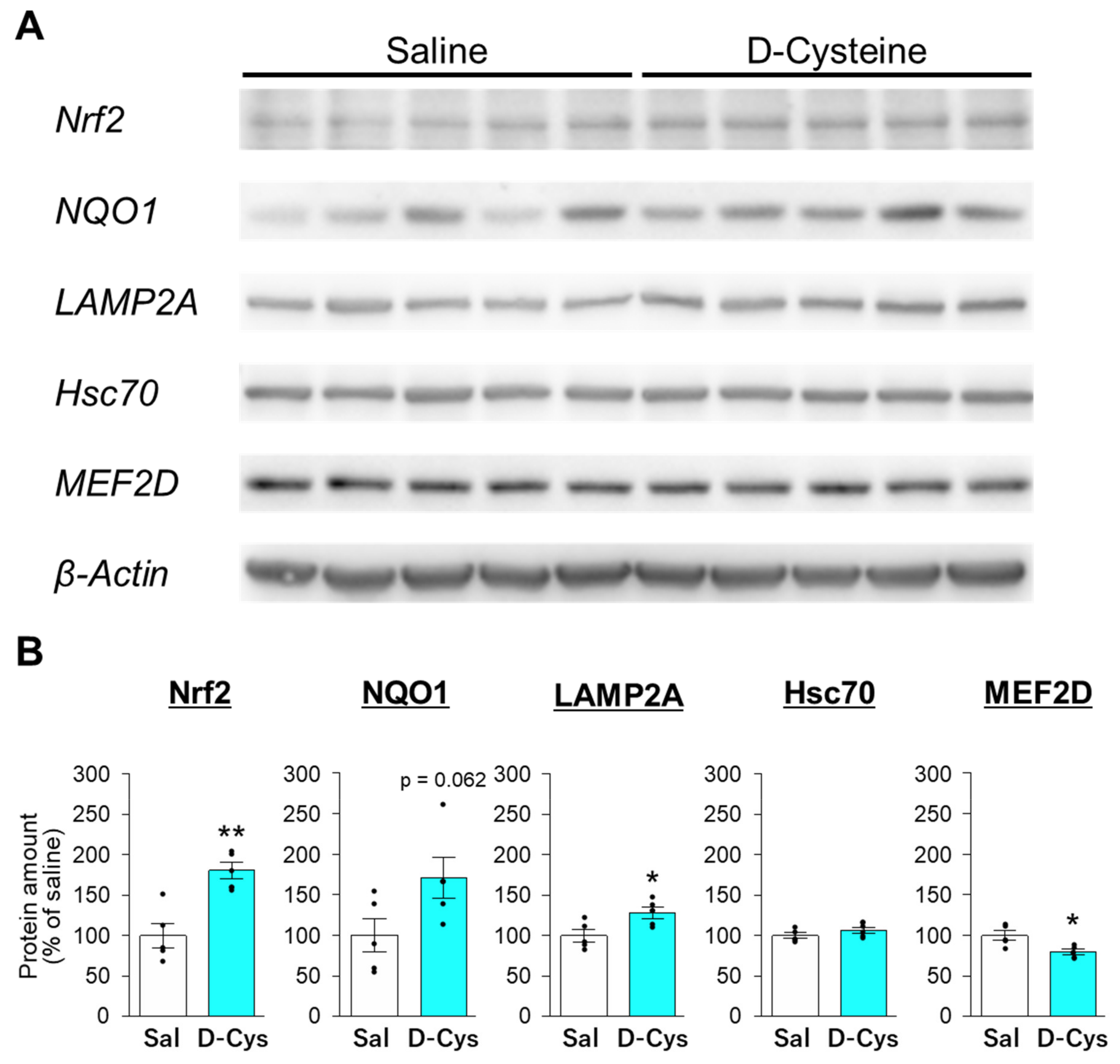 Cells 11 01230 g008 Cells 11 01230 g008