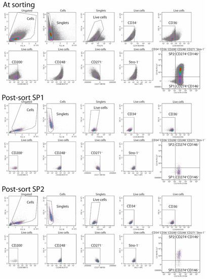 Cells 11 01236 g0a1 550