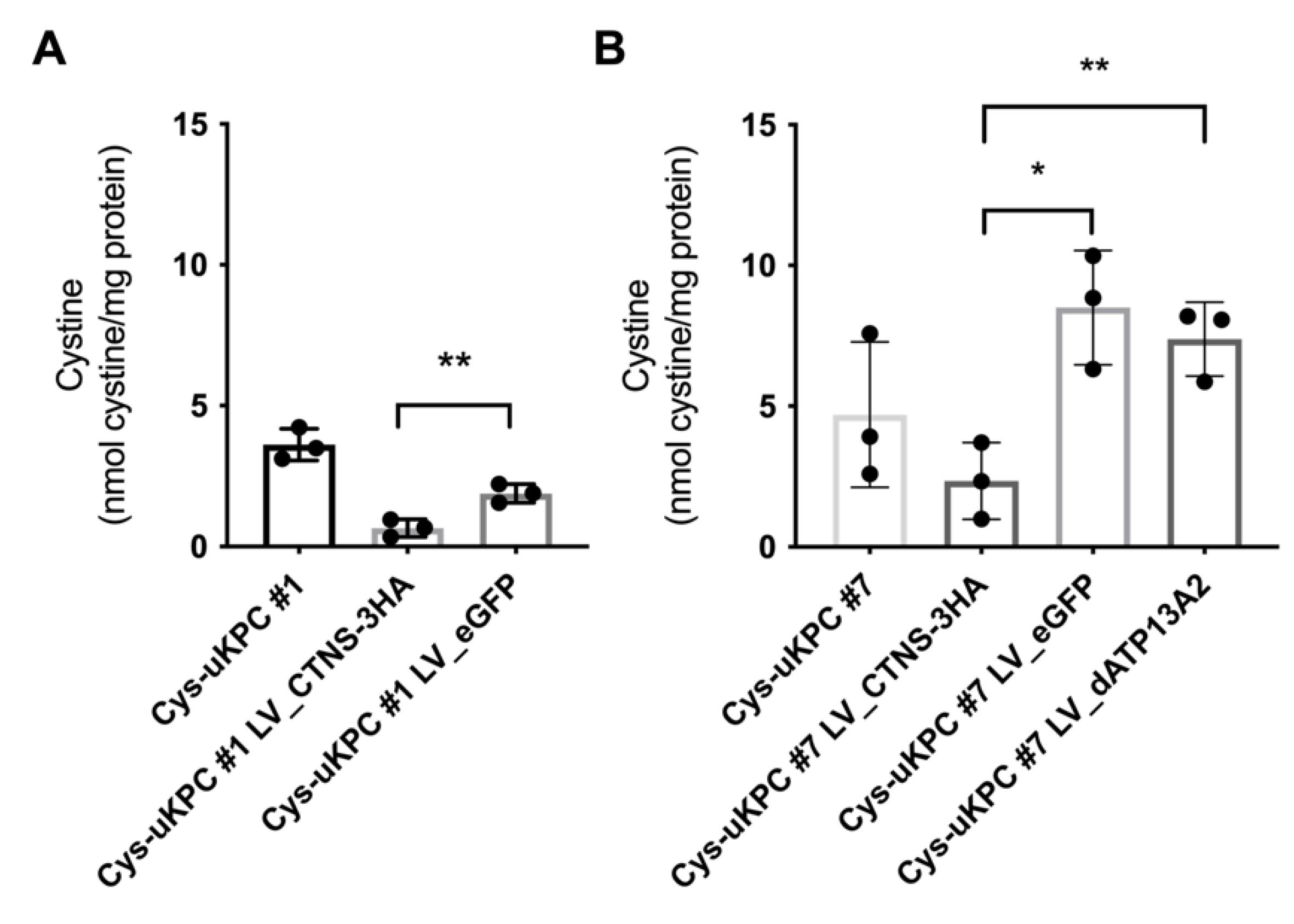 Cells 11 01245 g005 Cells 11 01245 g005