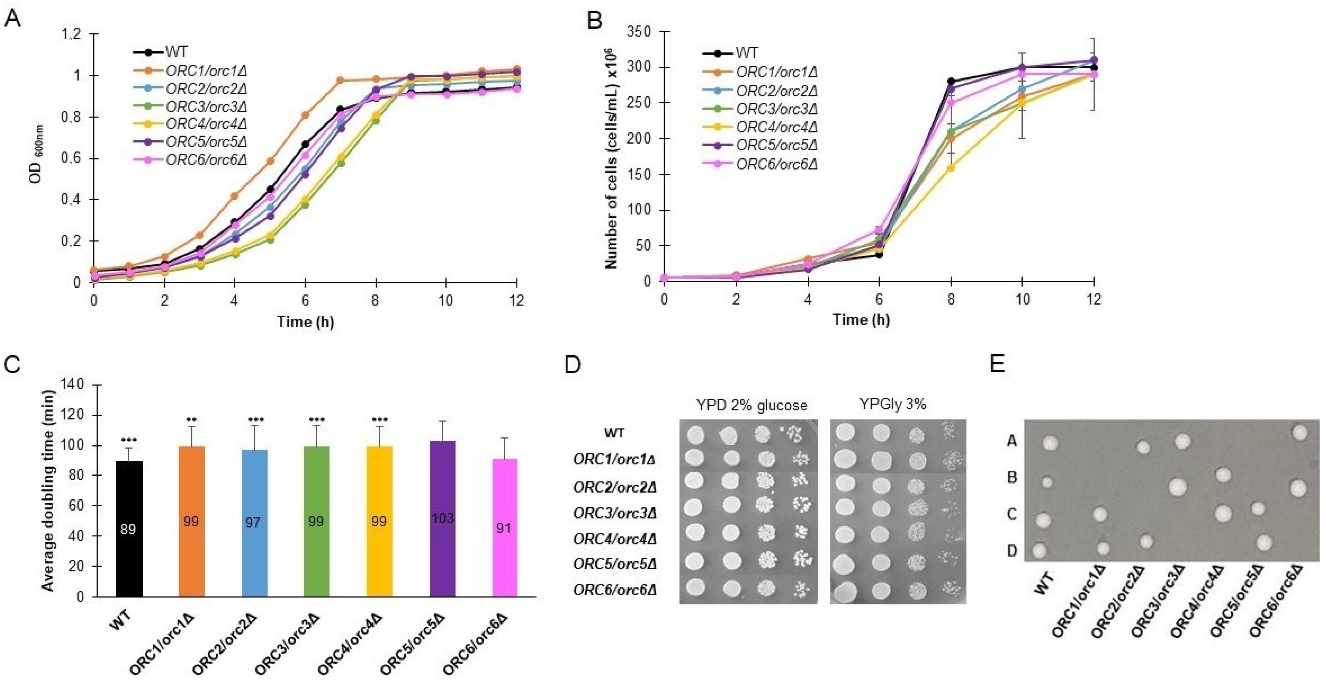Cells 11 01252 g001 Cells 11 01252 g001