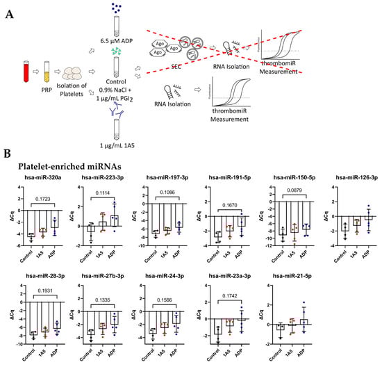 Cells 11 01254 g007a 550