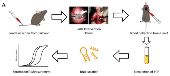 Cells 11 01254 g008a 550