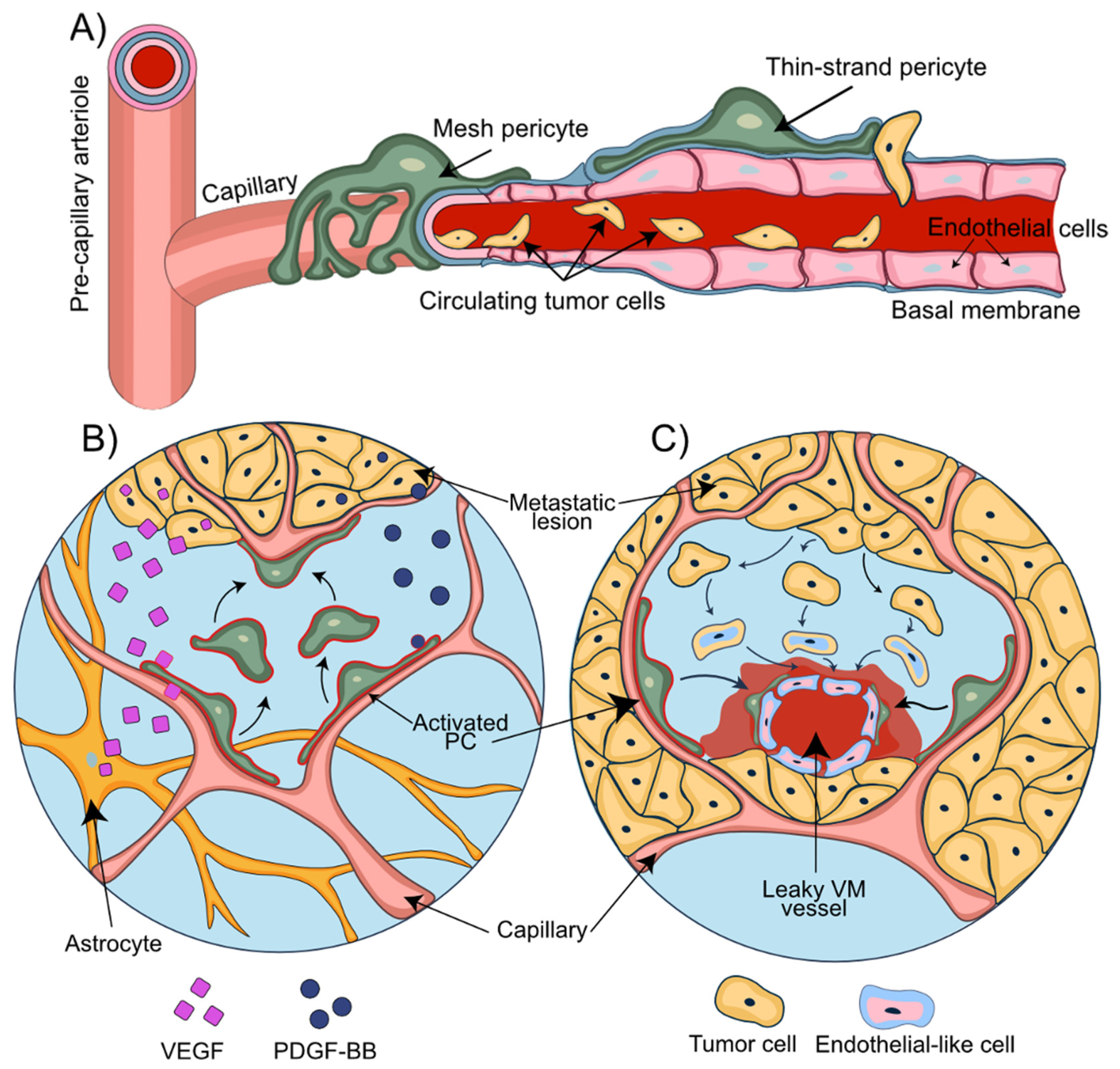 Cells 11 01263 g003 Cells 11 01263 g003