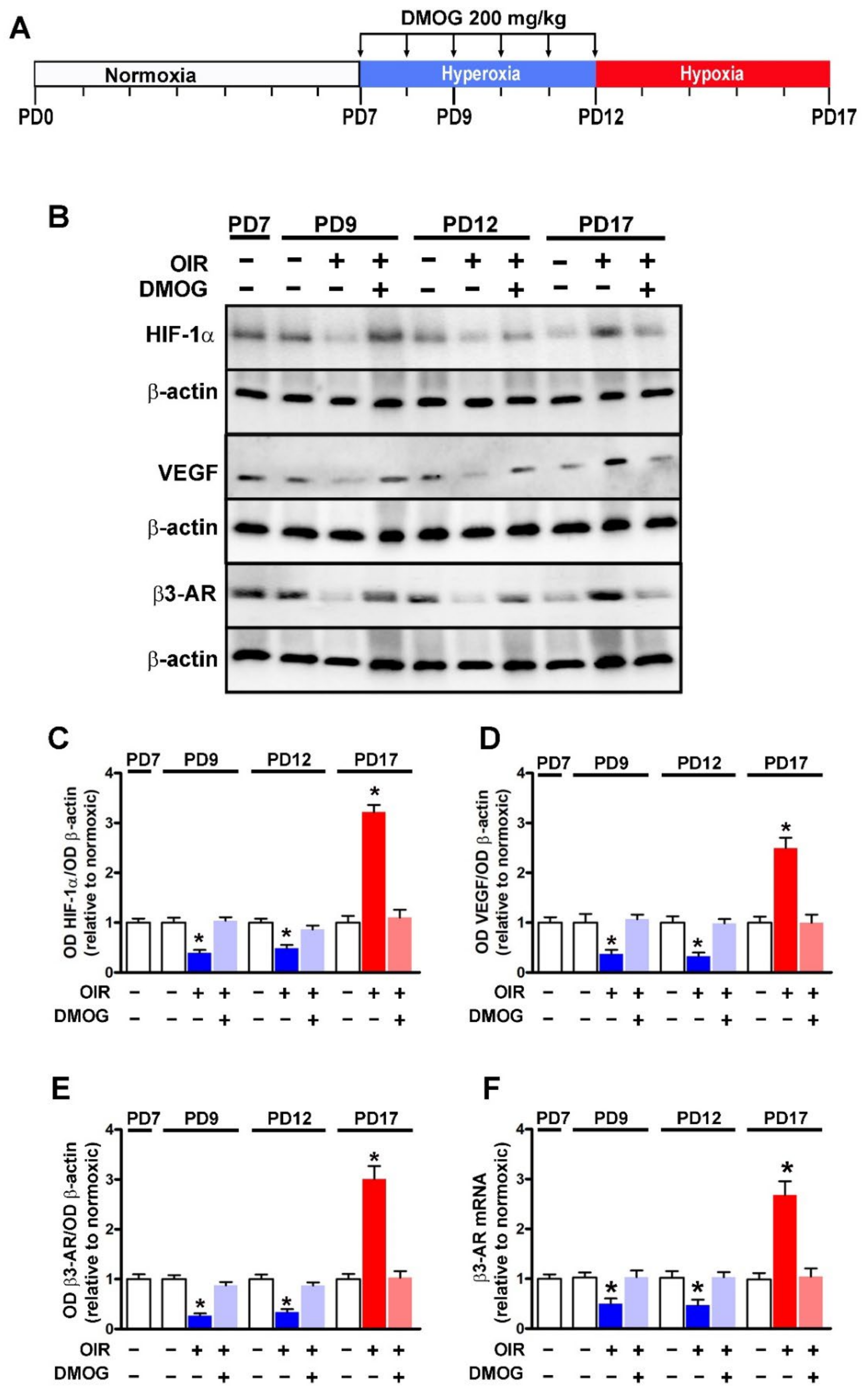 Cells 11 01271 g001 Cells 11 01271 g001