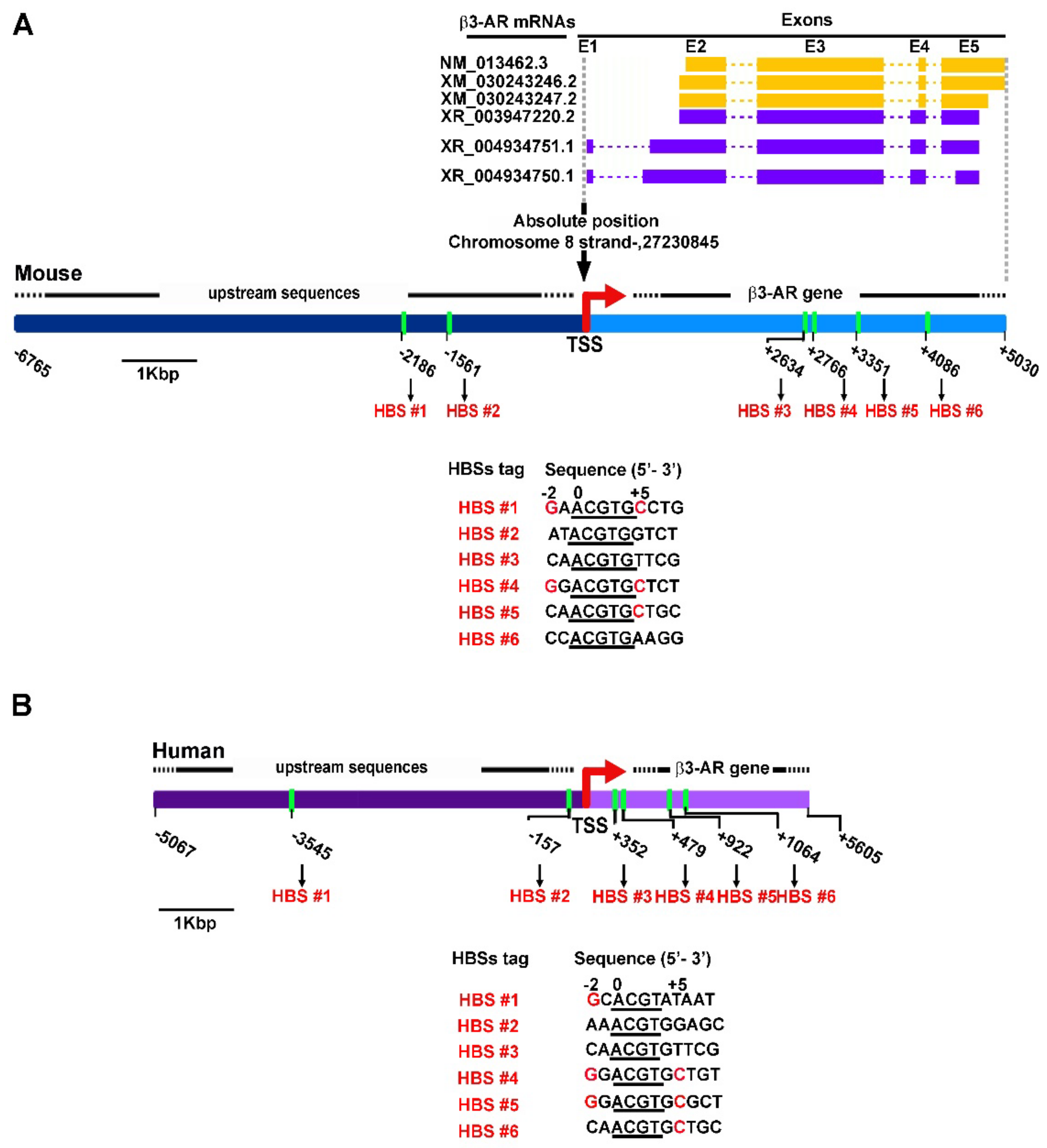 Cells 11 01271 g002 Cells 11 01271 g002