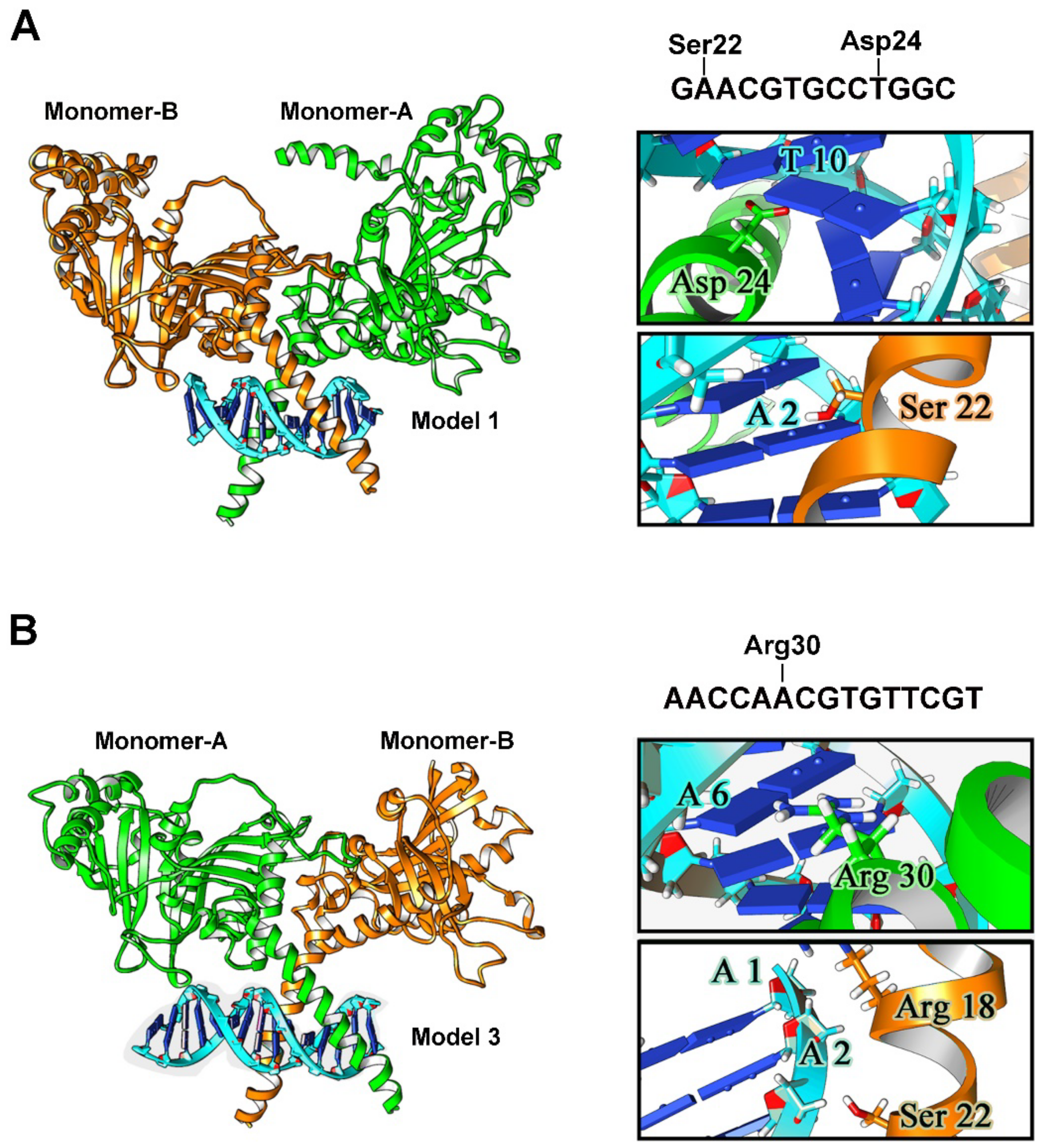 Cells 11 01271 g006 Cells 11 01271 g006