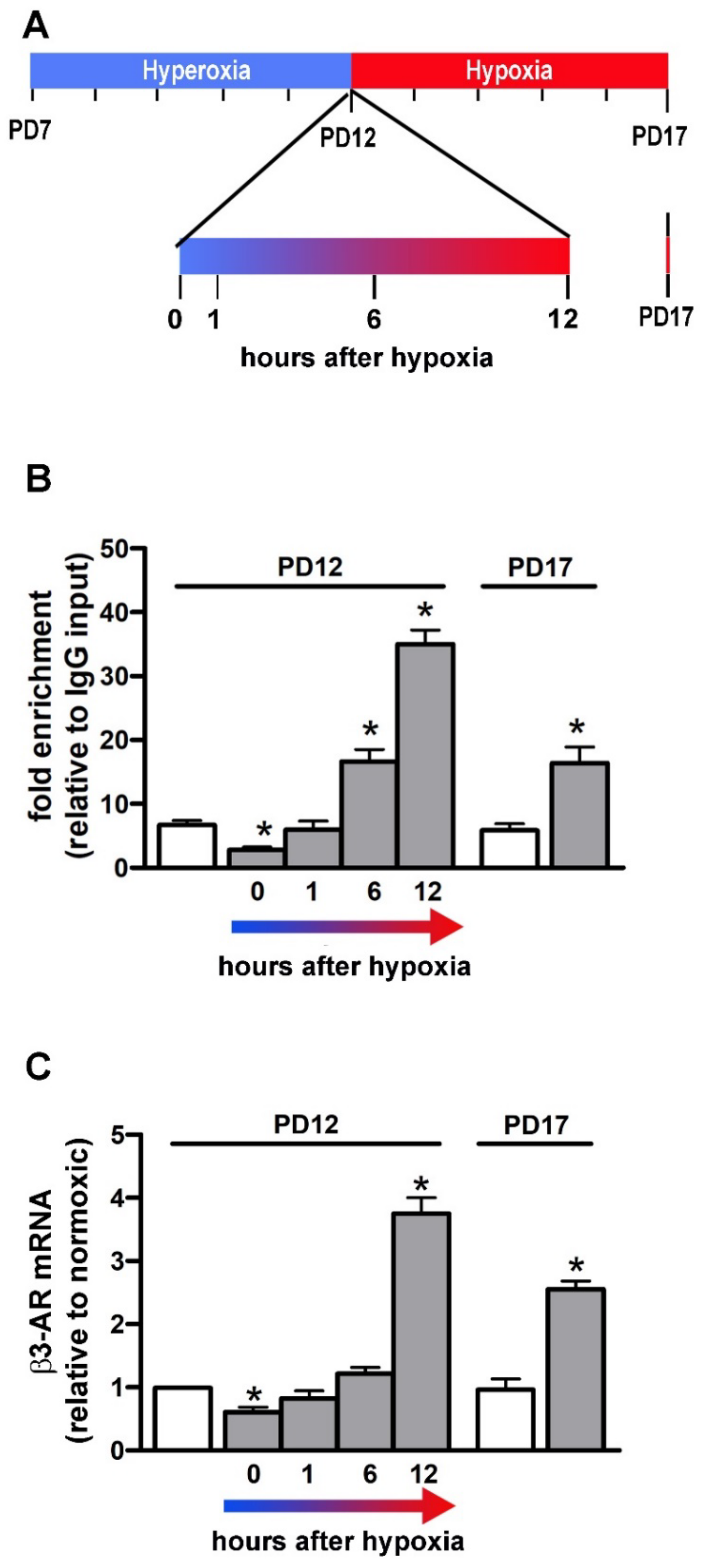Cells 11 01271 g007 Cells 11 01271 g007