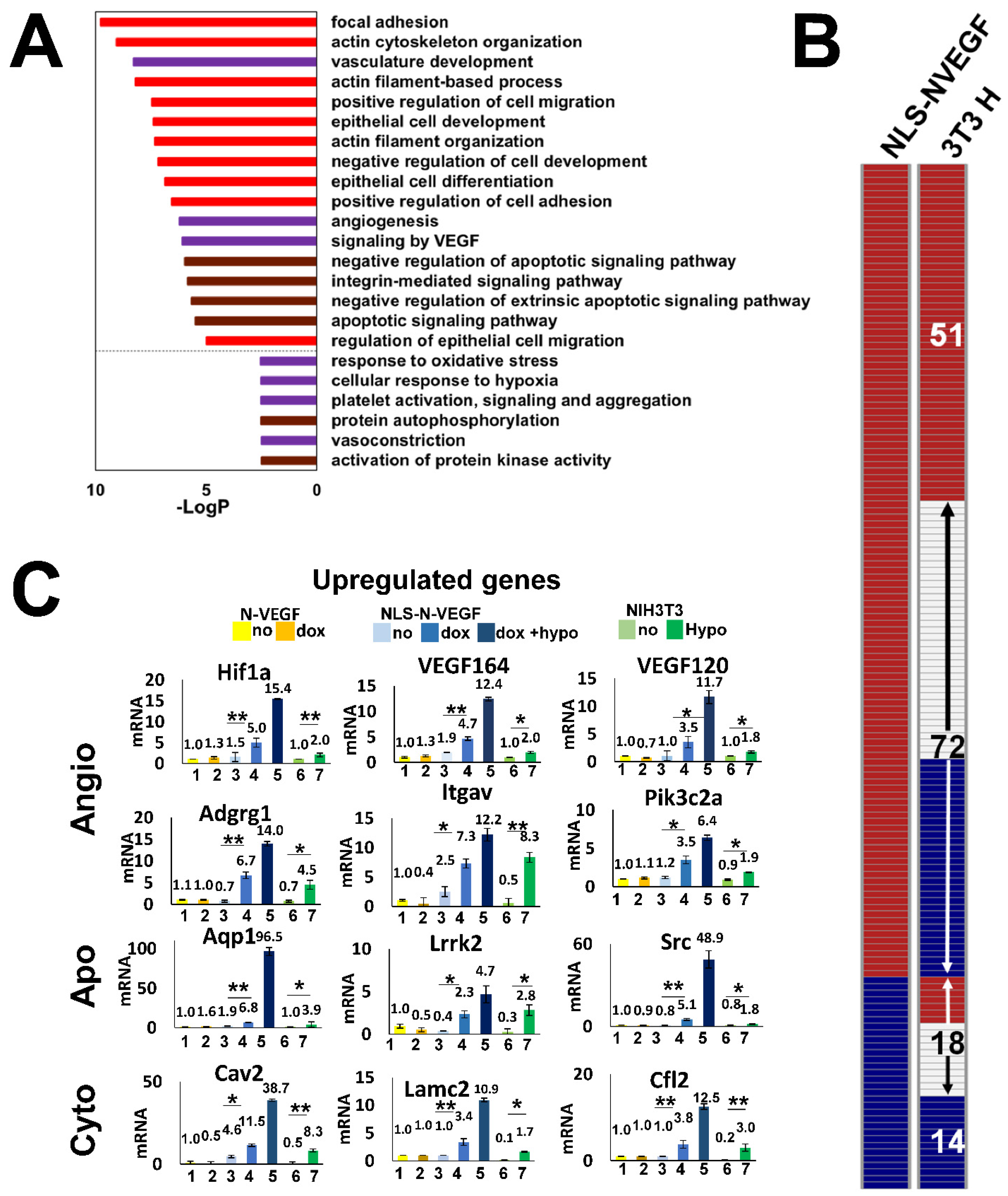 Cells 11 01289 g002 Cells 11 01289 g002