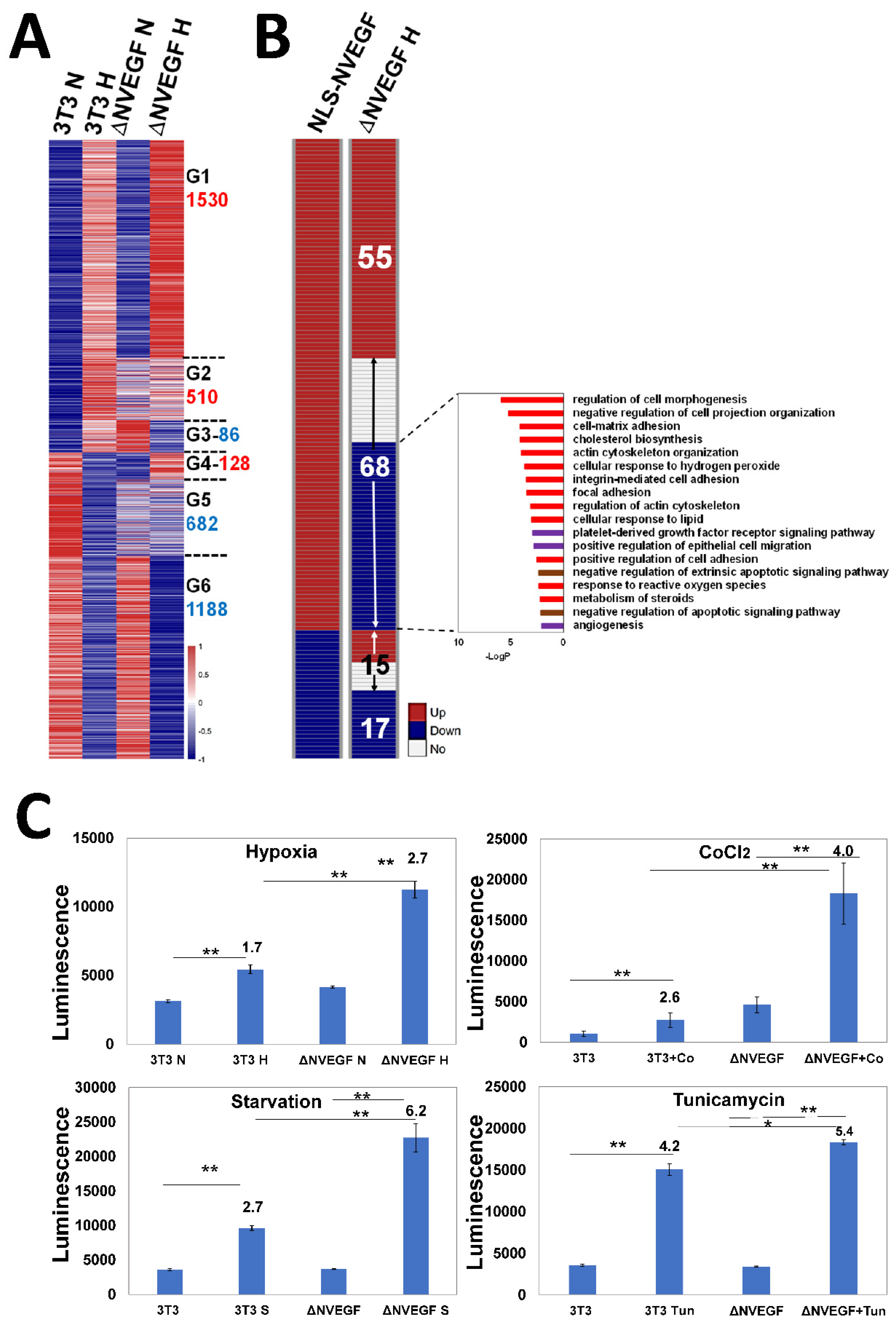 Cells 11 01289 g004 Cells 11 01289 g004