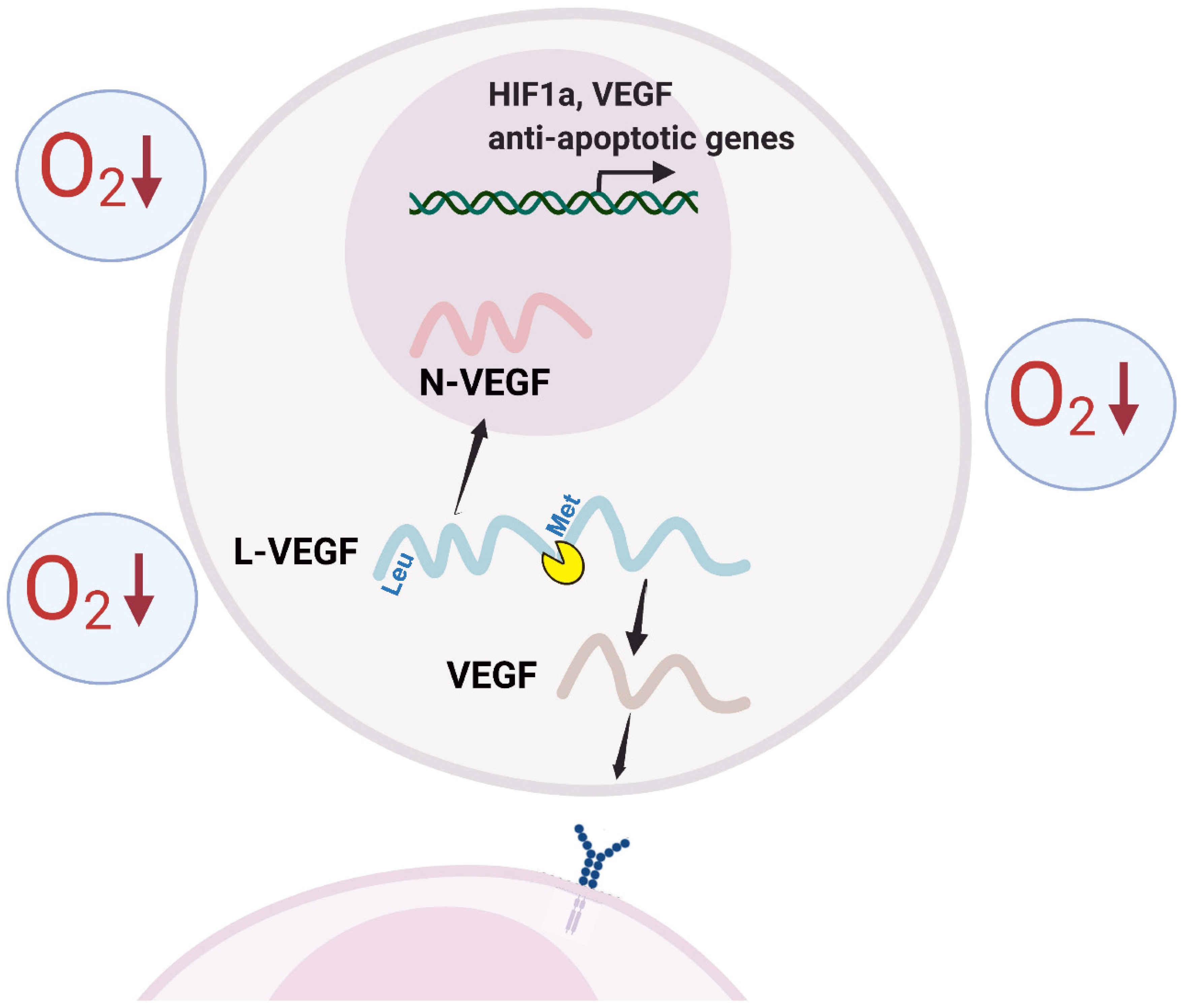 Cells 11 01289 g005 Cells 11 01289 g005