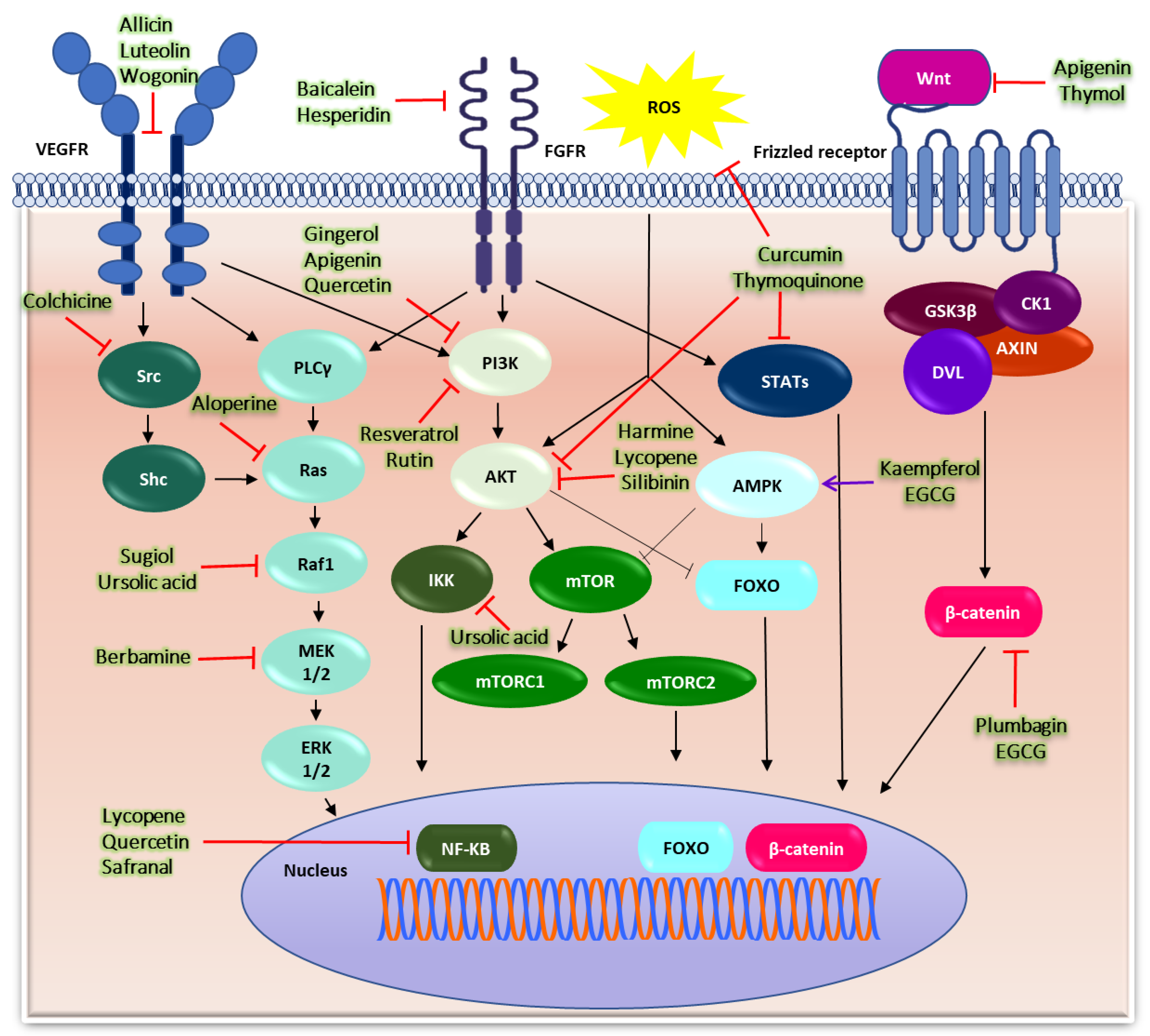 Cells 11 01326 g002 Cells 11 01326 g002