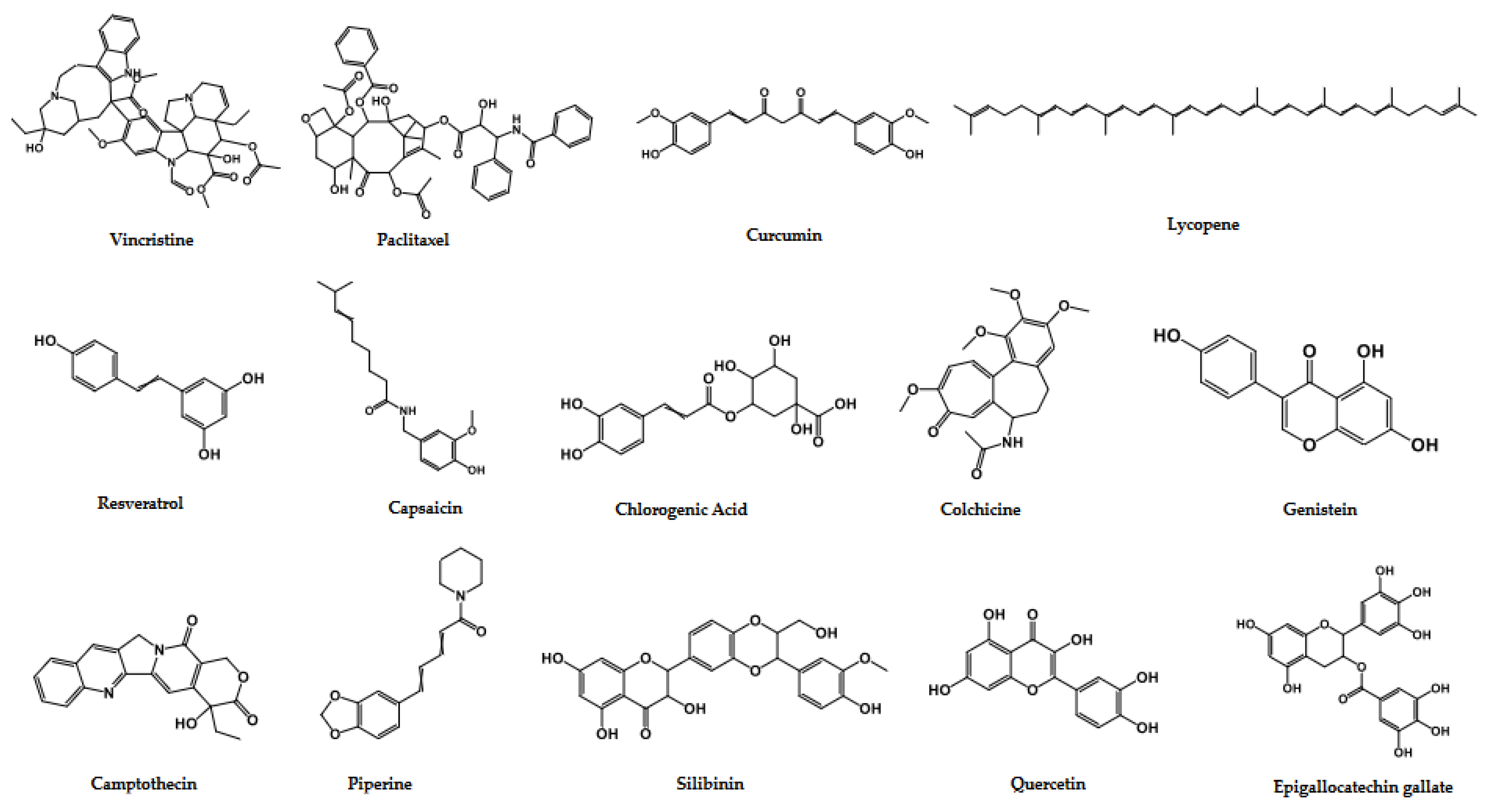 Cells 11 01326 g004 Cells 11 01326 g004