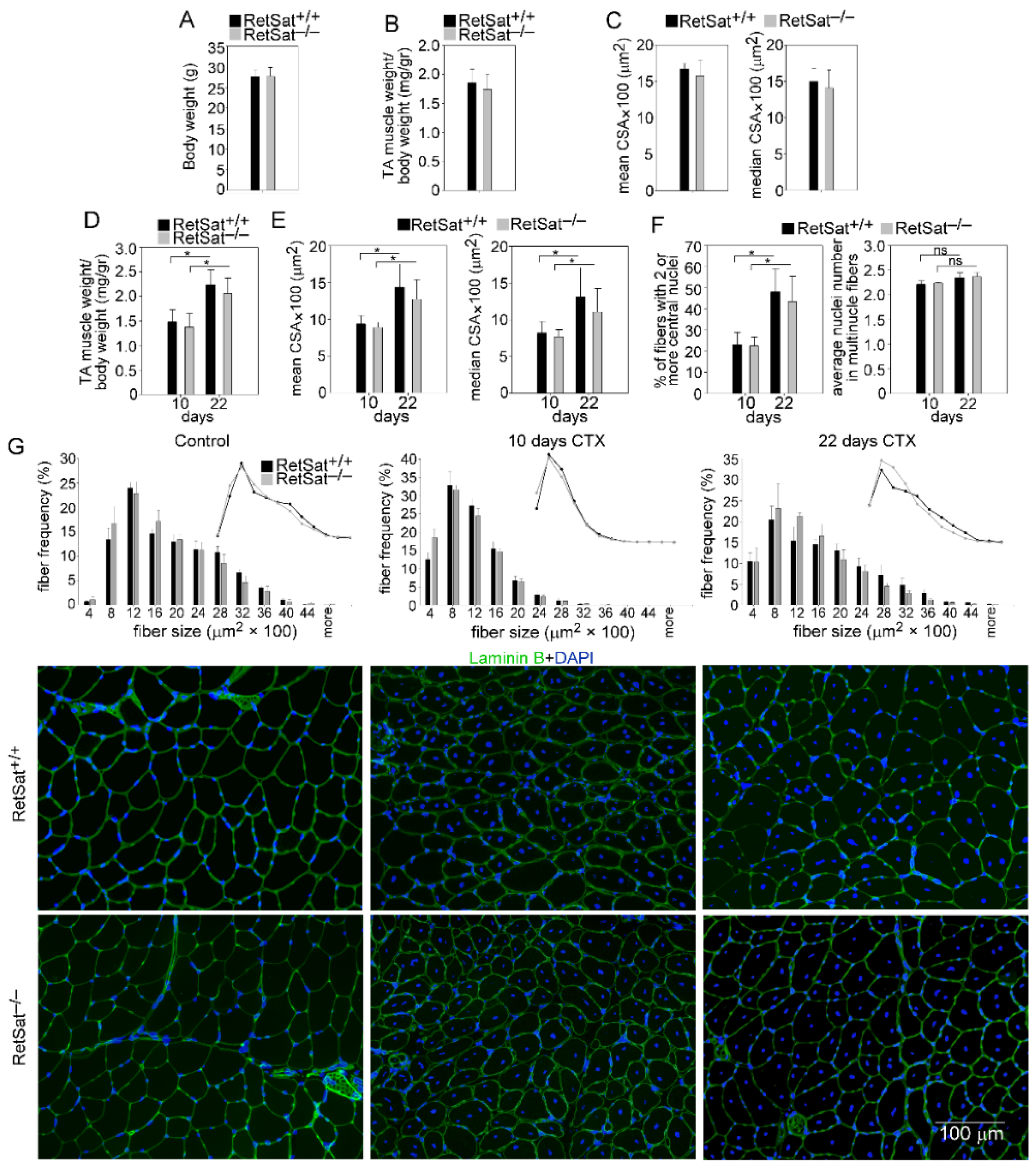 Cells 11 01333 g001 Cells 11 01333 g001