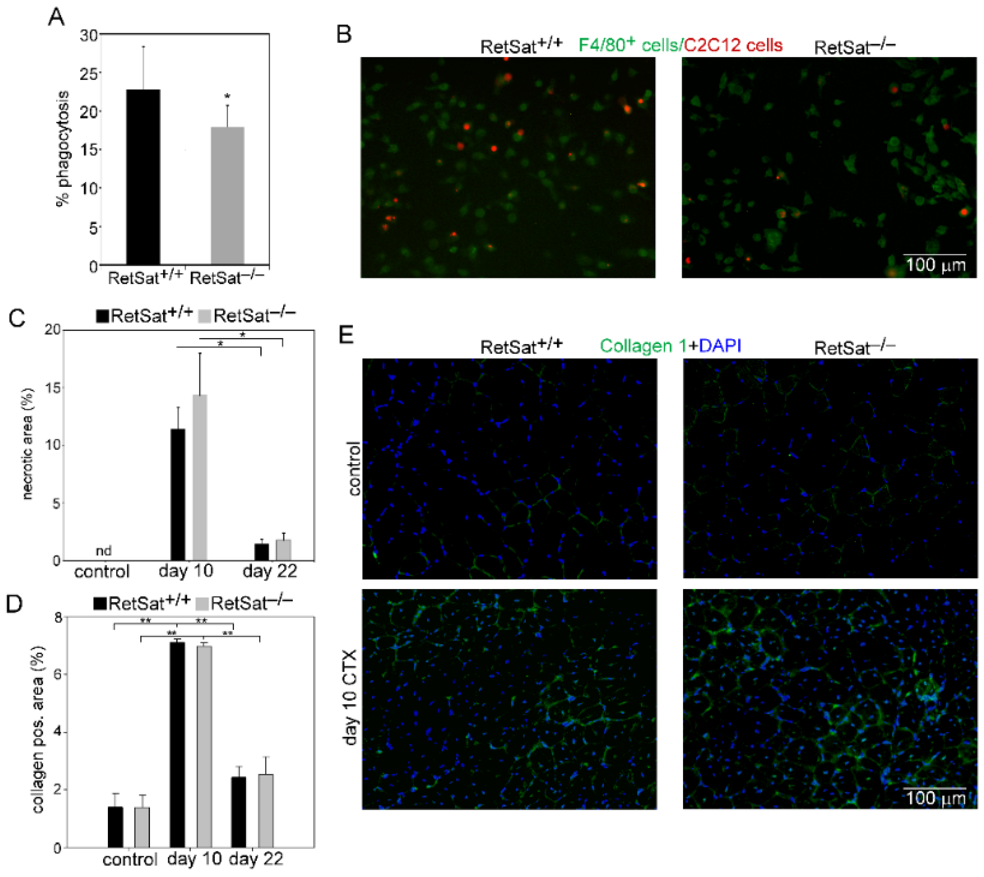 Cells 11 01333 g003 Cells 11 01333 g003
