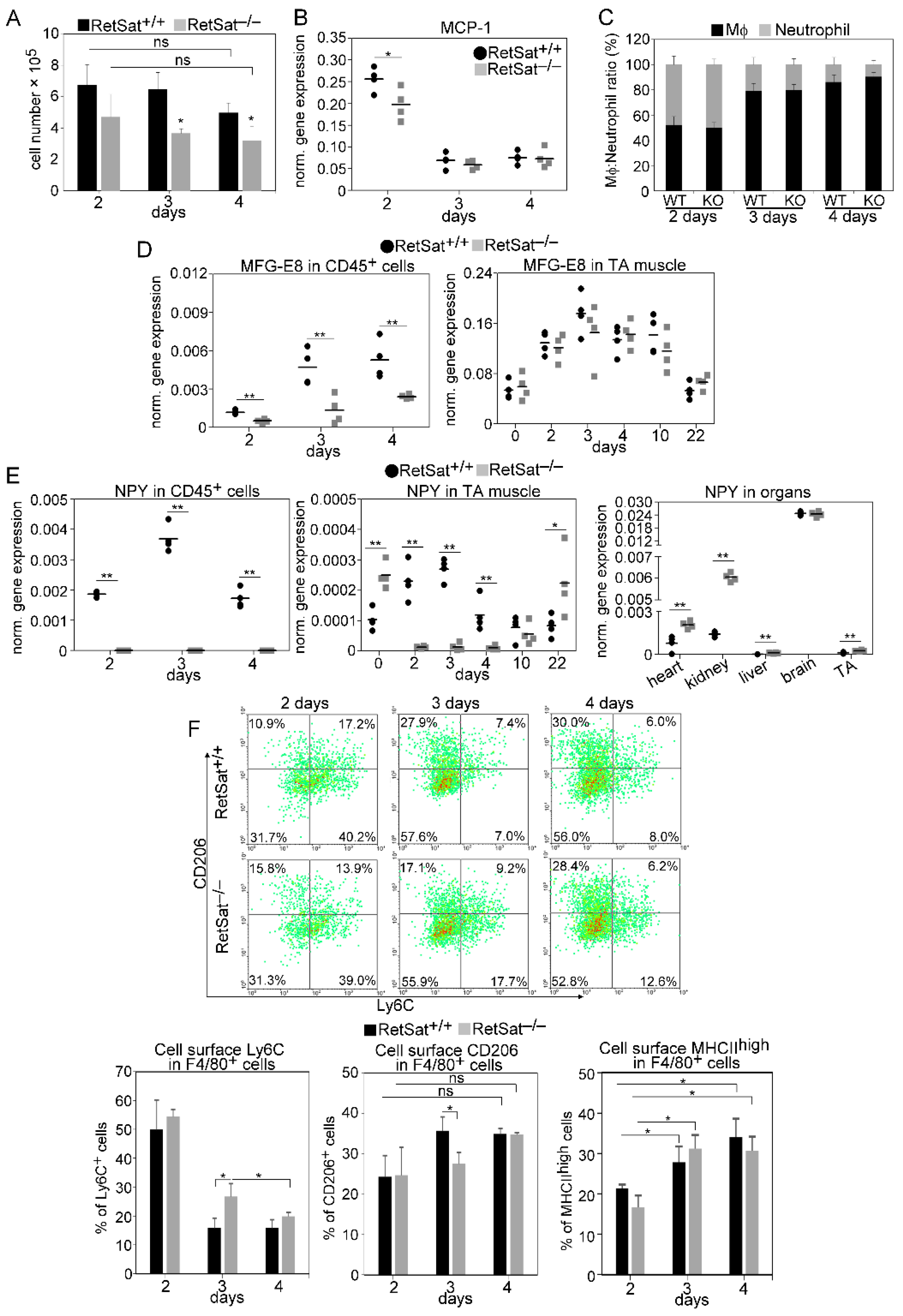 Cells 11 01333 g005 Cells 11 01333 g005