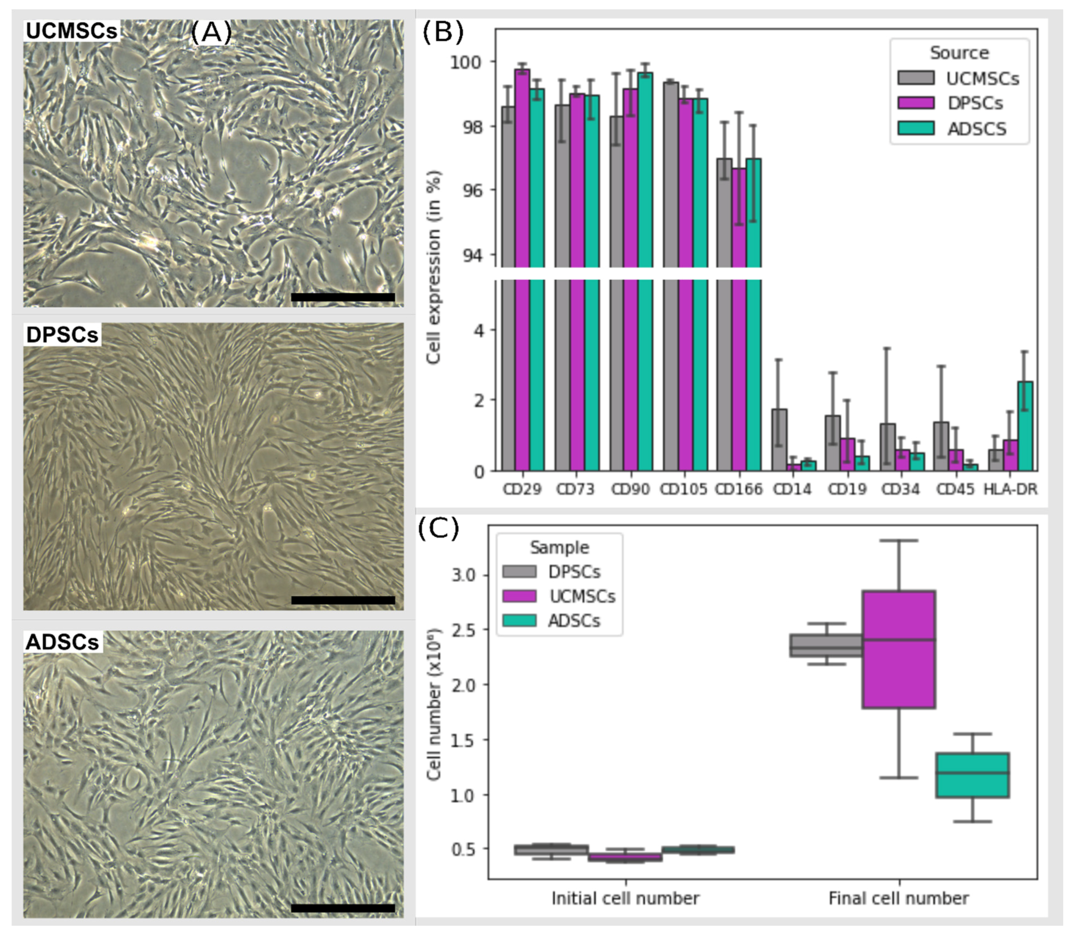 Cells 11 01339 g001 Cells 11 01339 g001