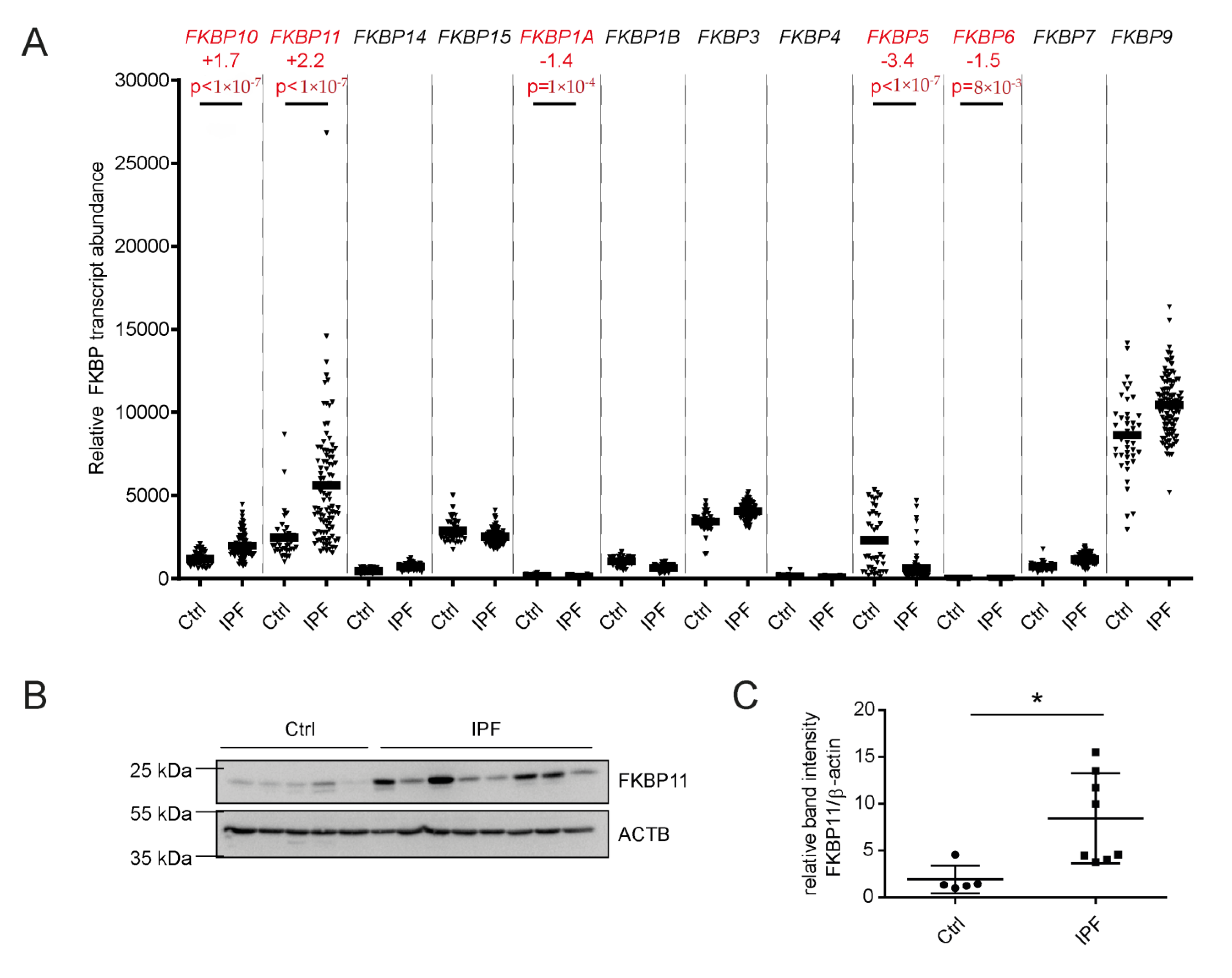 Cells 11 01341 g001 Cells 11 01341 g001