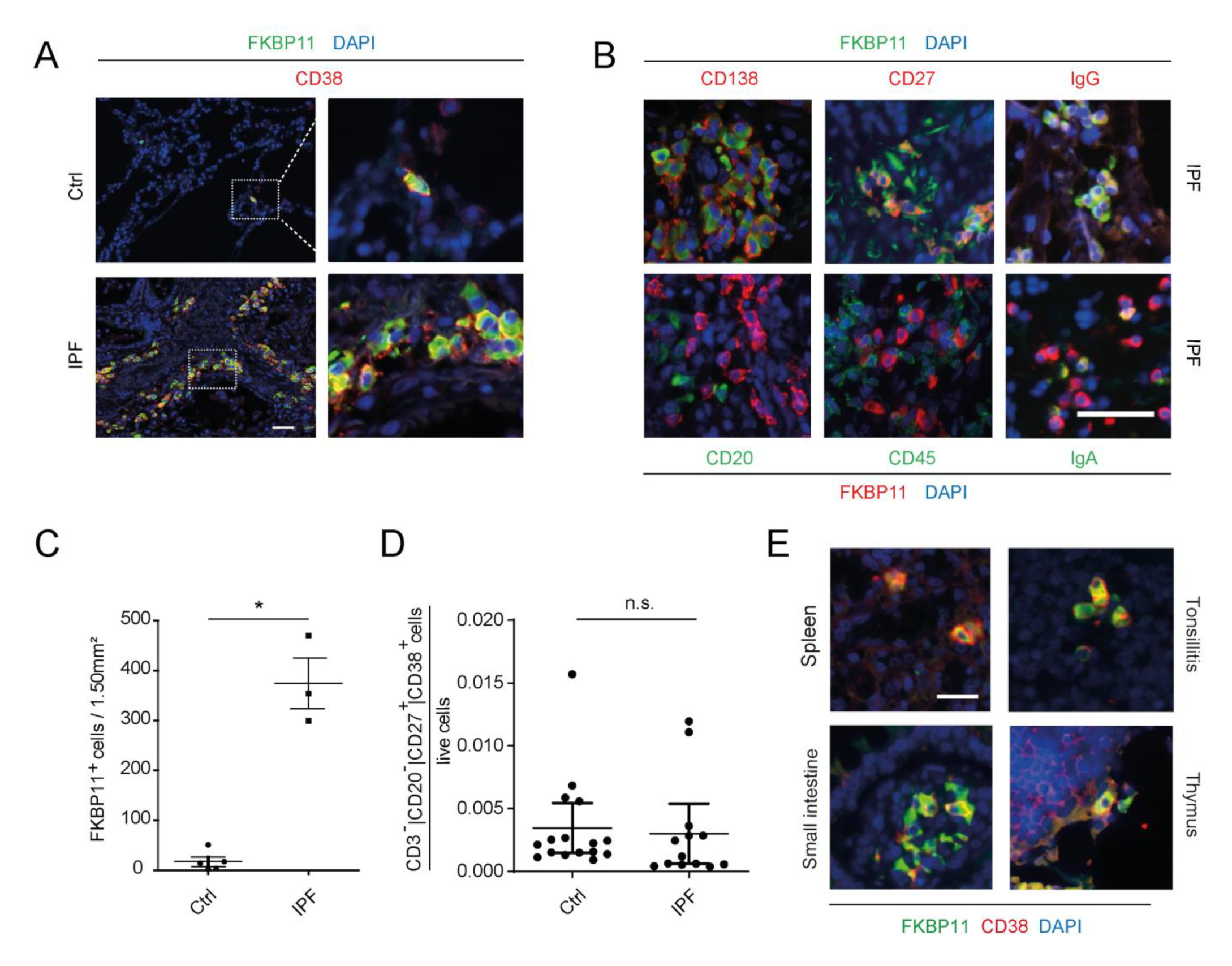 Cells 11 01341 g002 Cells 11 01341 g002