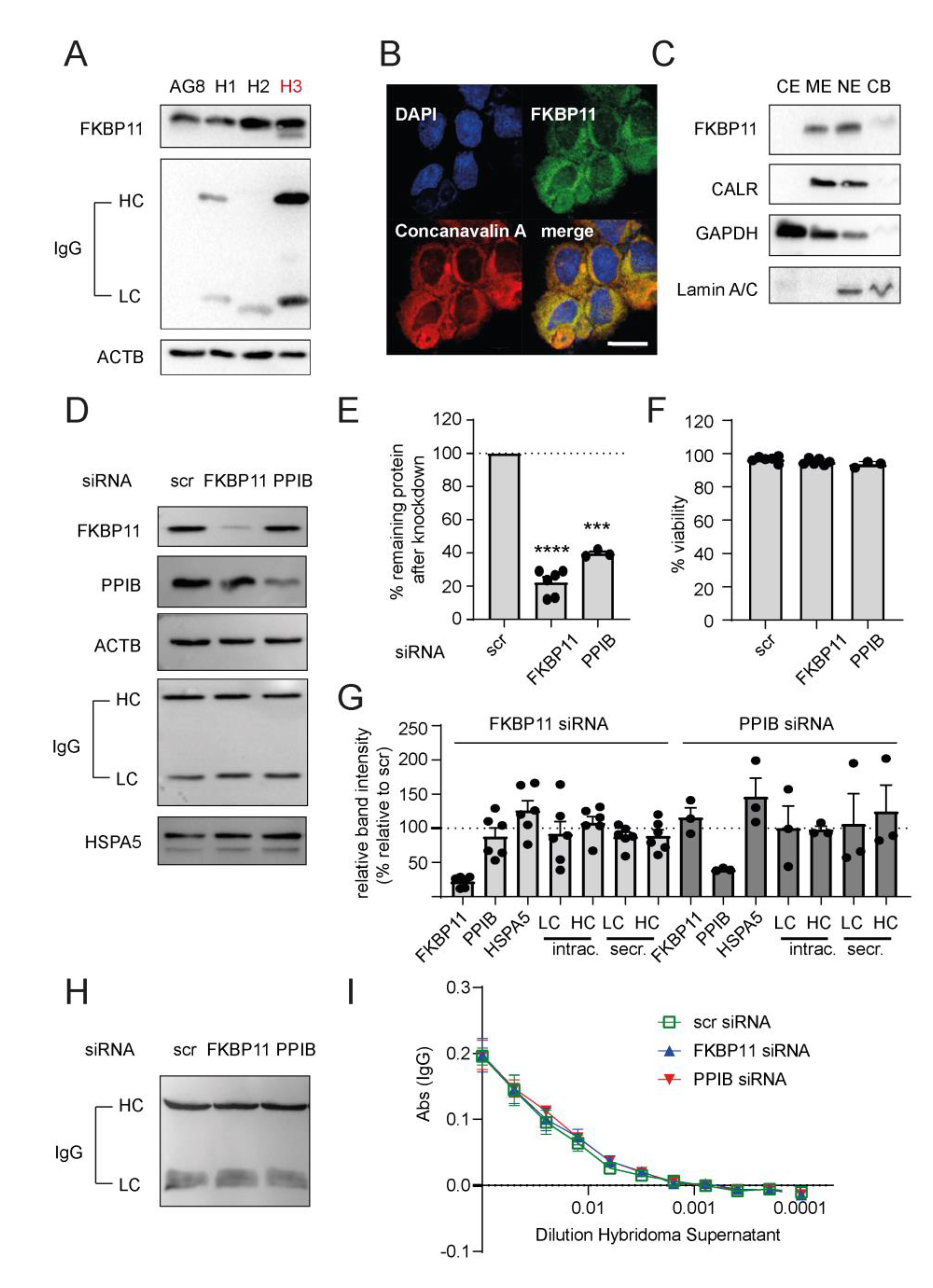 Cells 11 01341 g006 Cells 11 01341 g006