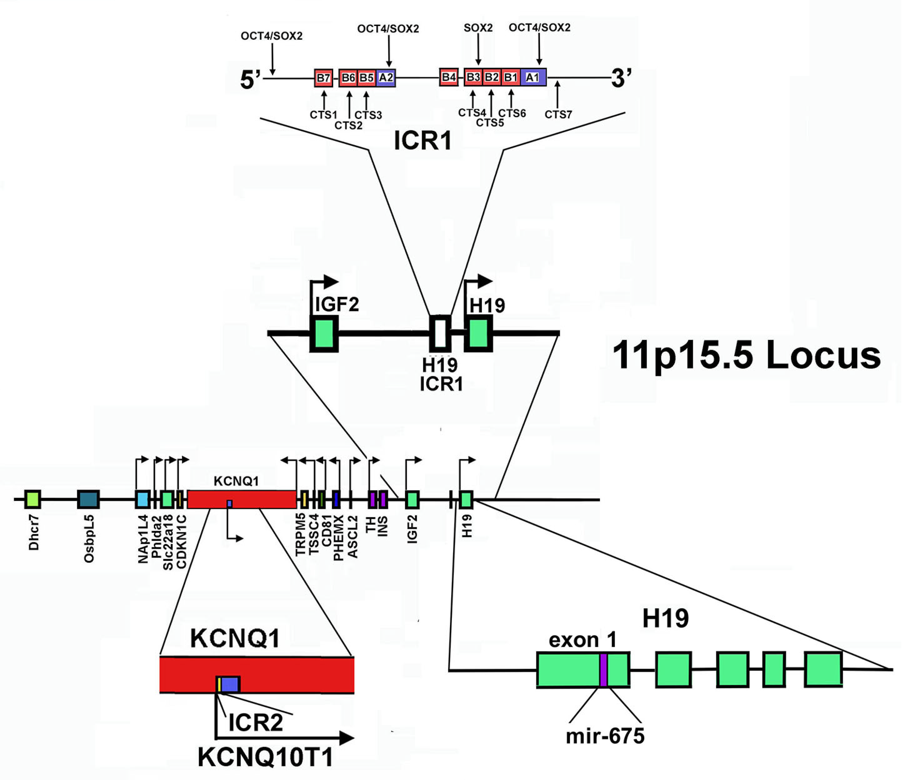 Cells 11 01346 g002 Cells 11 01346 g002