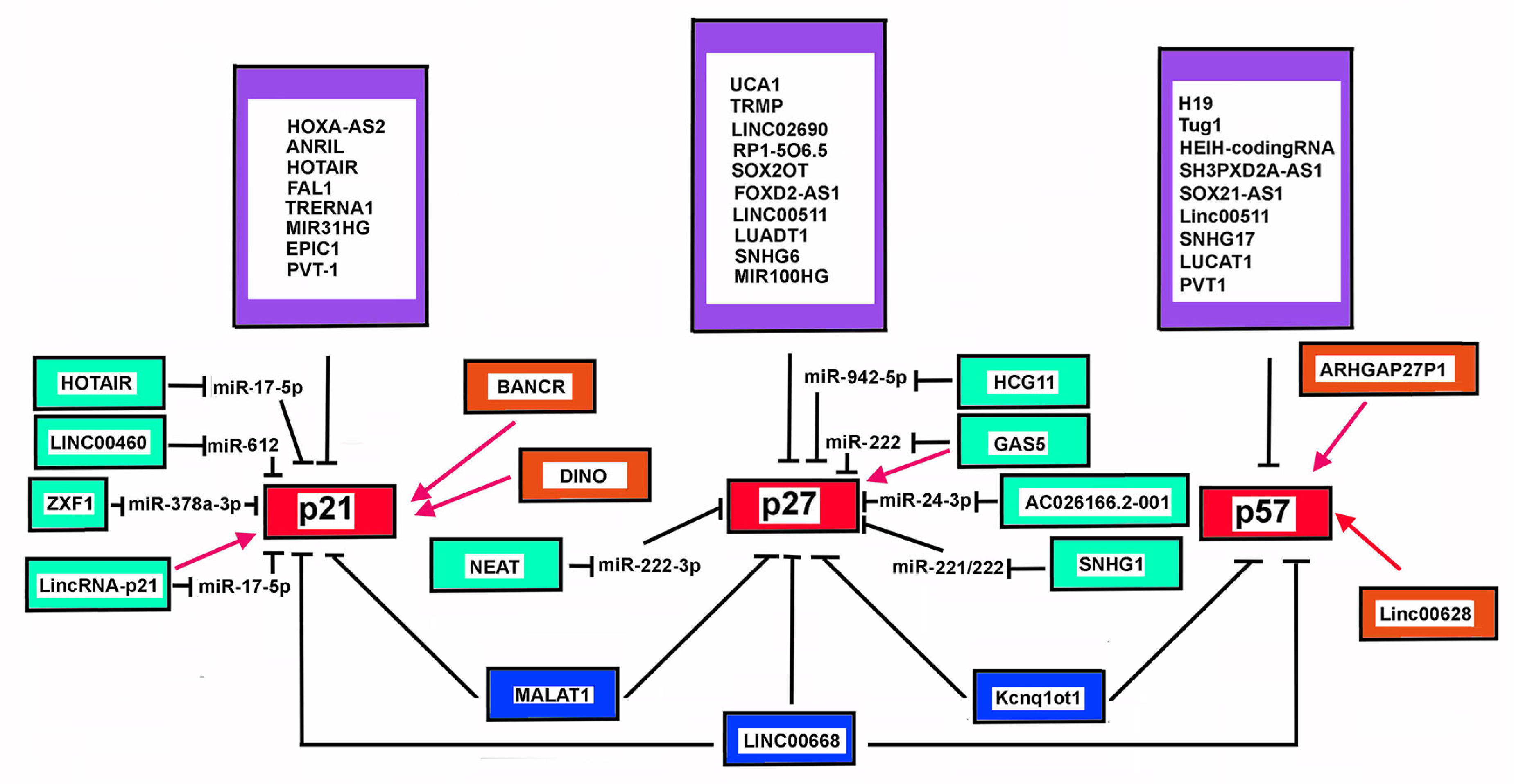 Cells 11 01346 g003 Cells 11 01346 g003