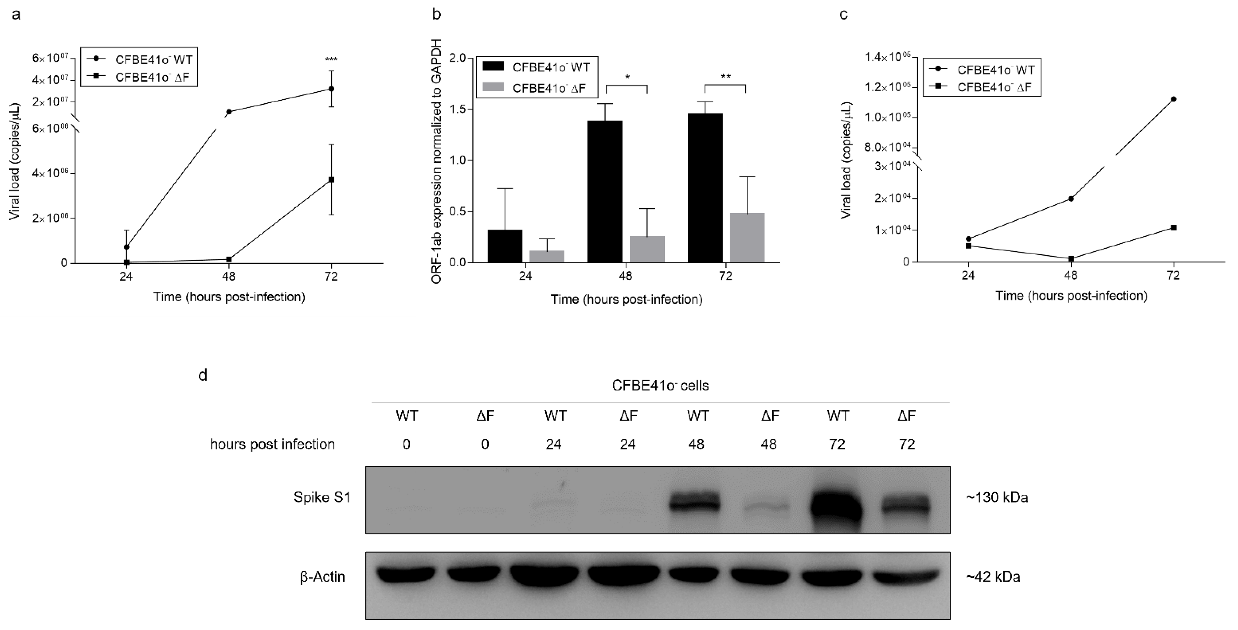 Cells 11 01347 g001 Cells 11 01347 g001