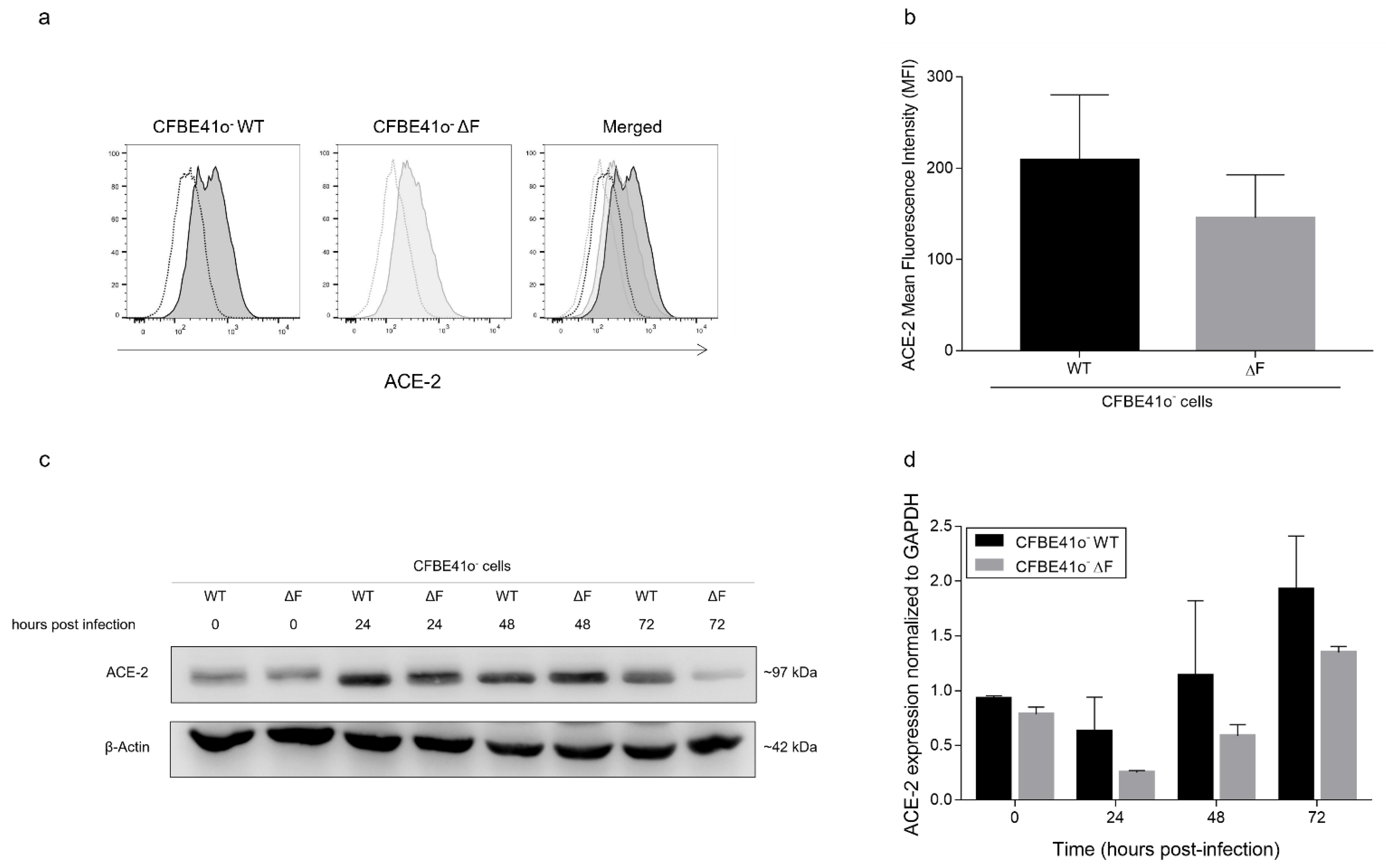 Cells 11 01347 g002 Cells 11 01347 g002