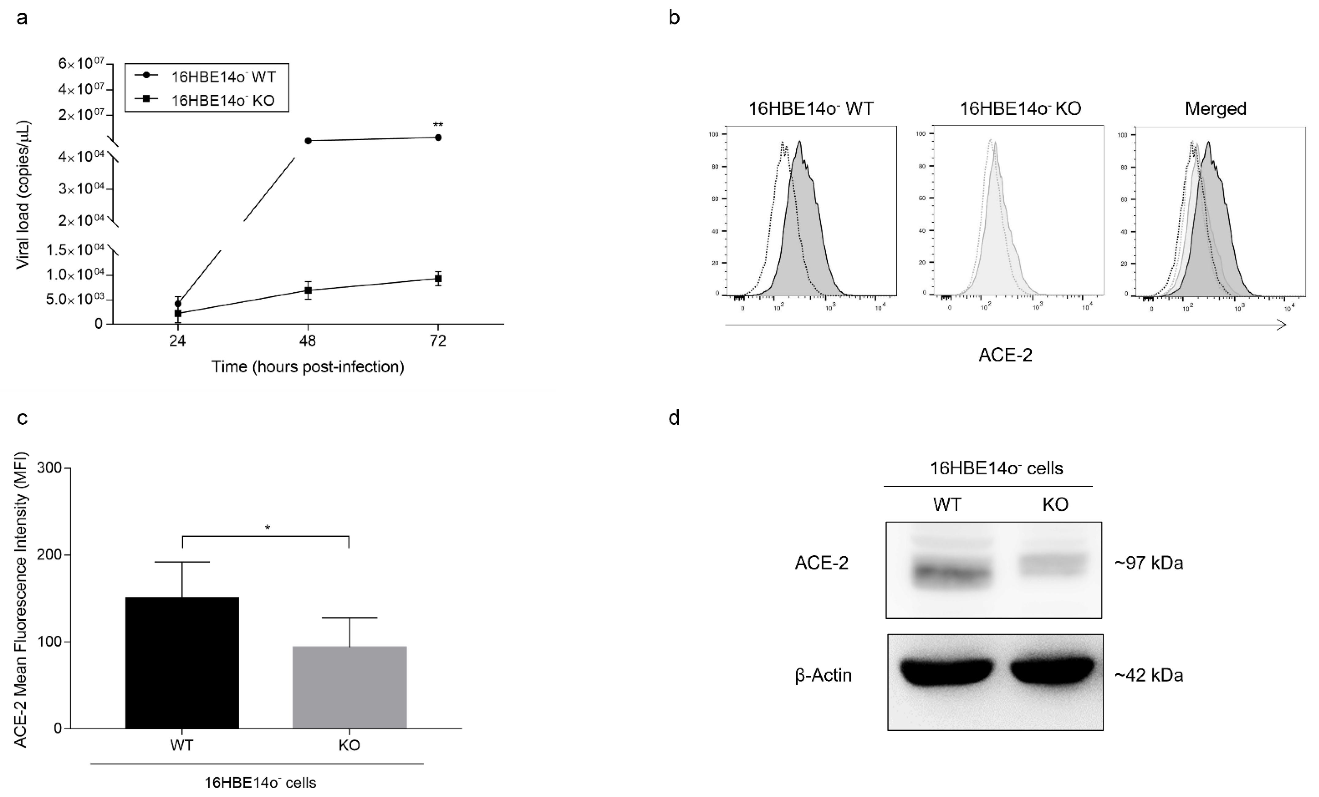 Cells 11 01347 g005 Cells 11 01347 g005