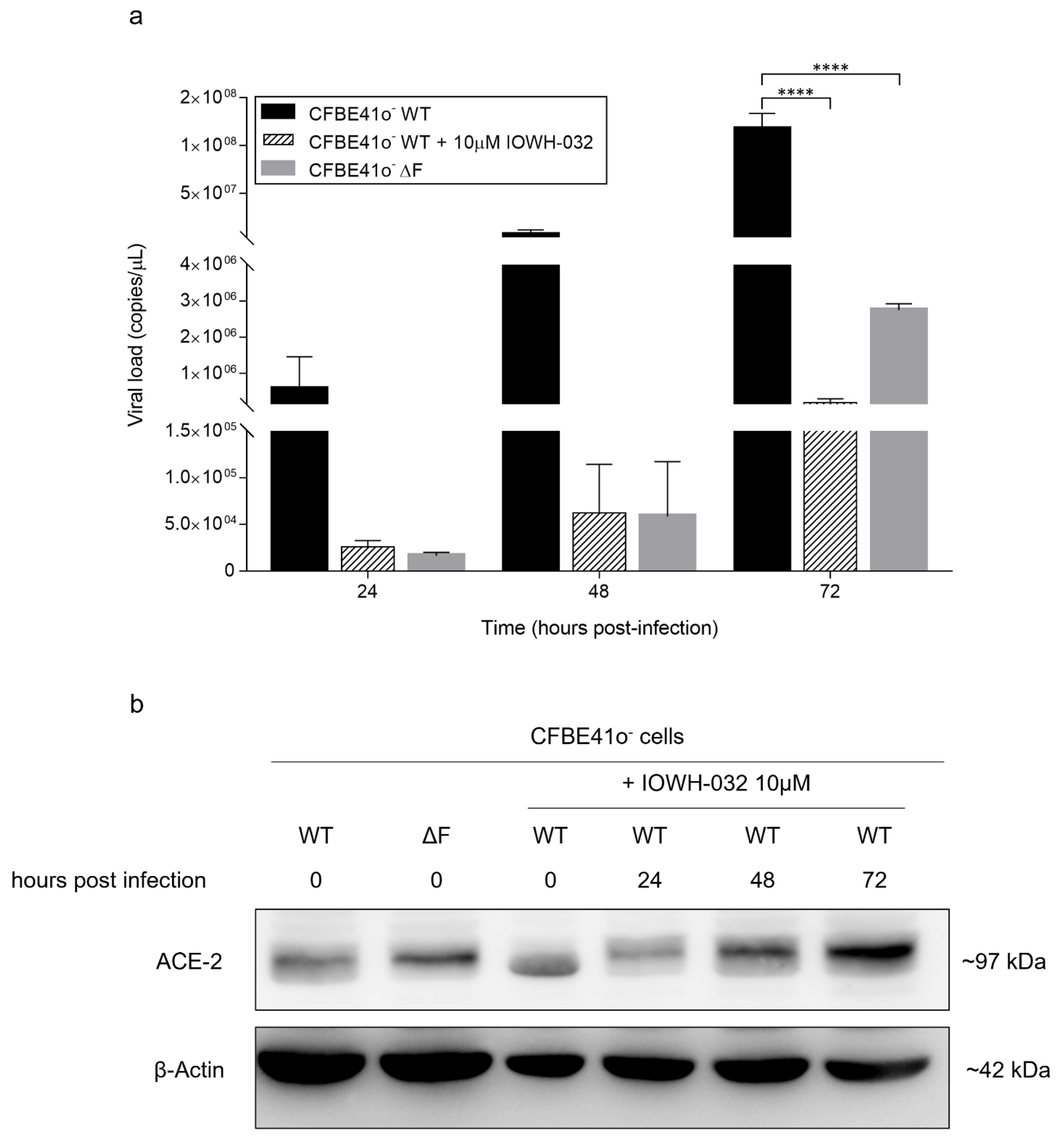 Cells 11 01347 g006 Cells 11 01347 g006