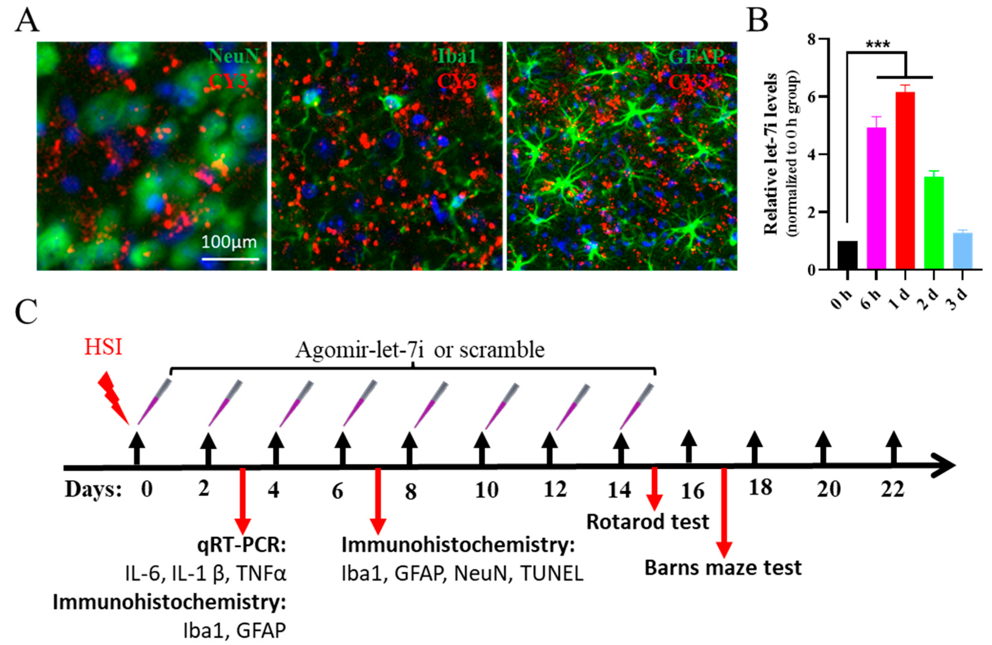 Cells 11 01348 g002 Cells 11 01348 g002