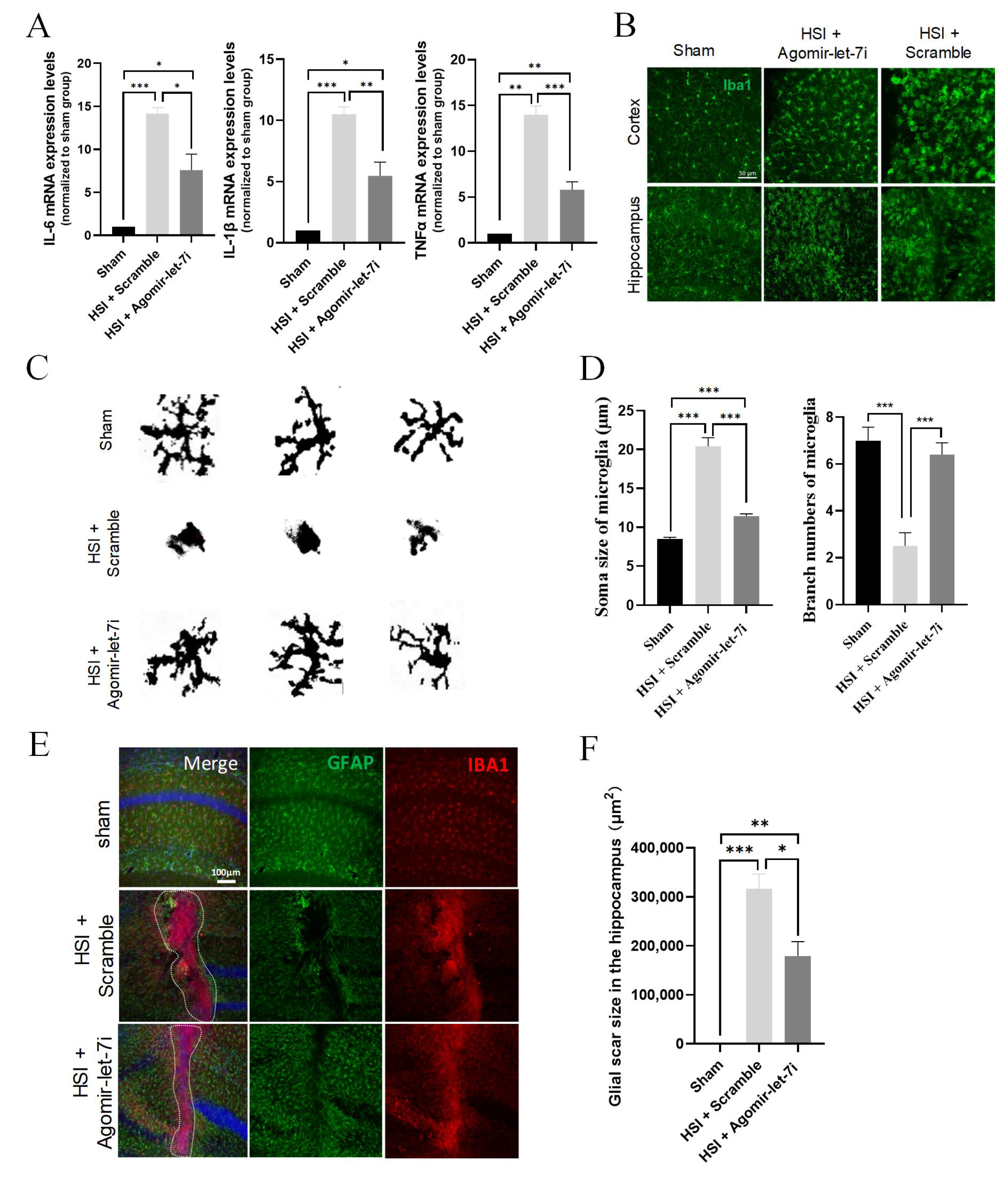 Cells 11 01348 g003 Cells 11 01348 g003