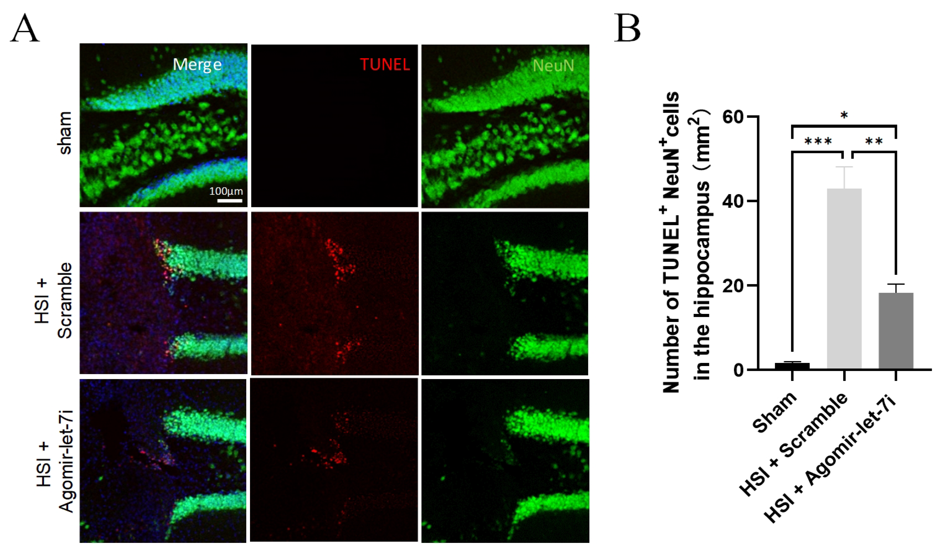 Cells 11 01348 g004 Cells 11 01348 g004