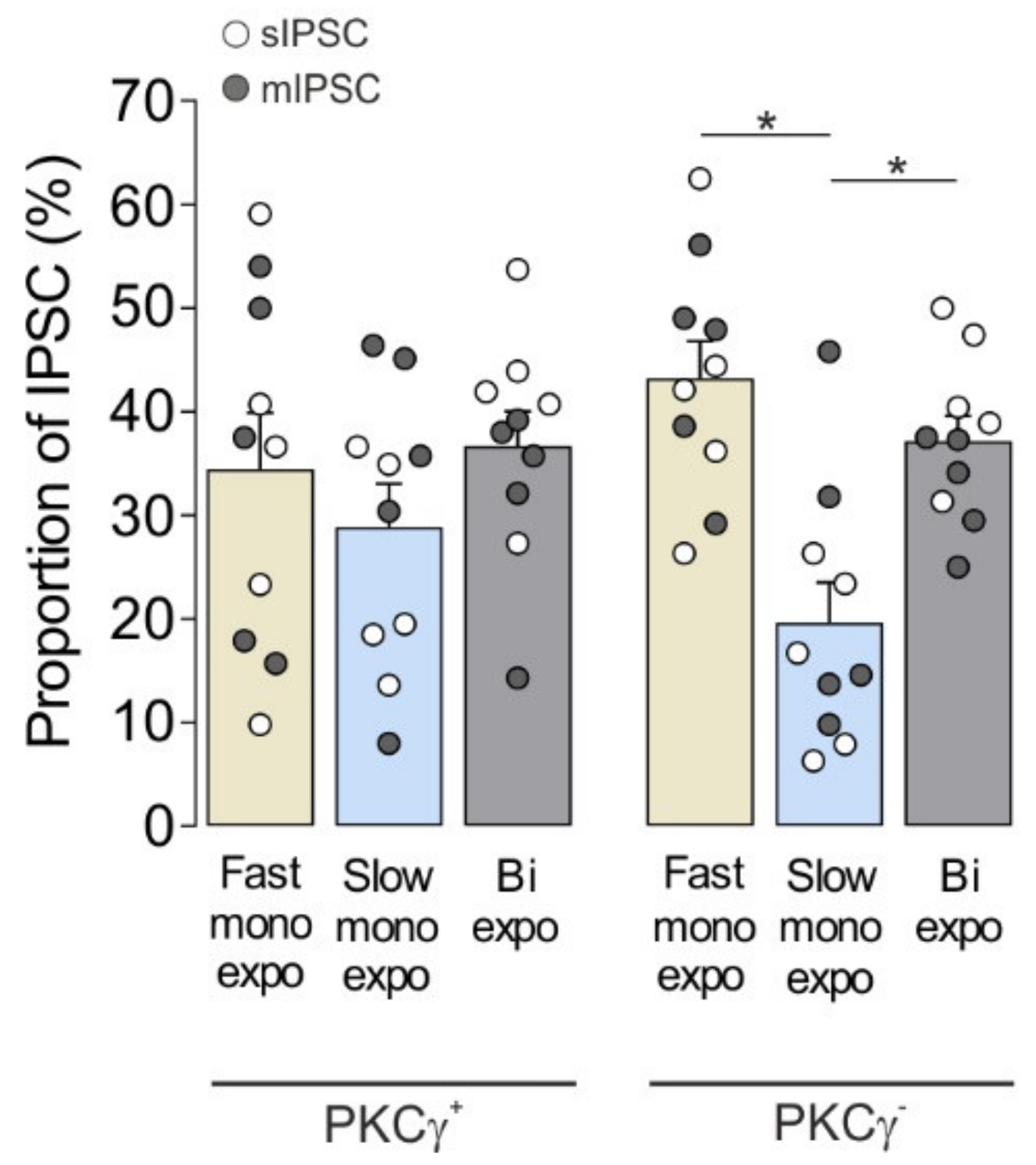 Cells 11 01356 g002 Cells 11 01356 g002