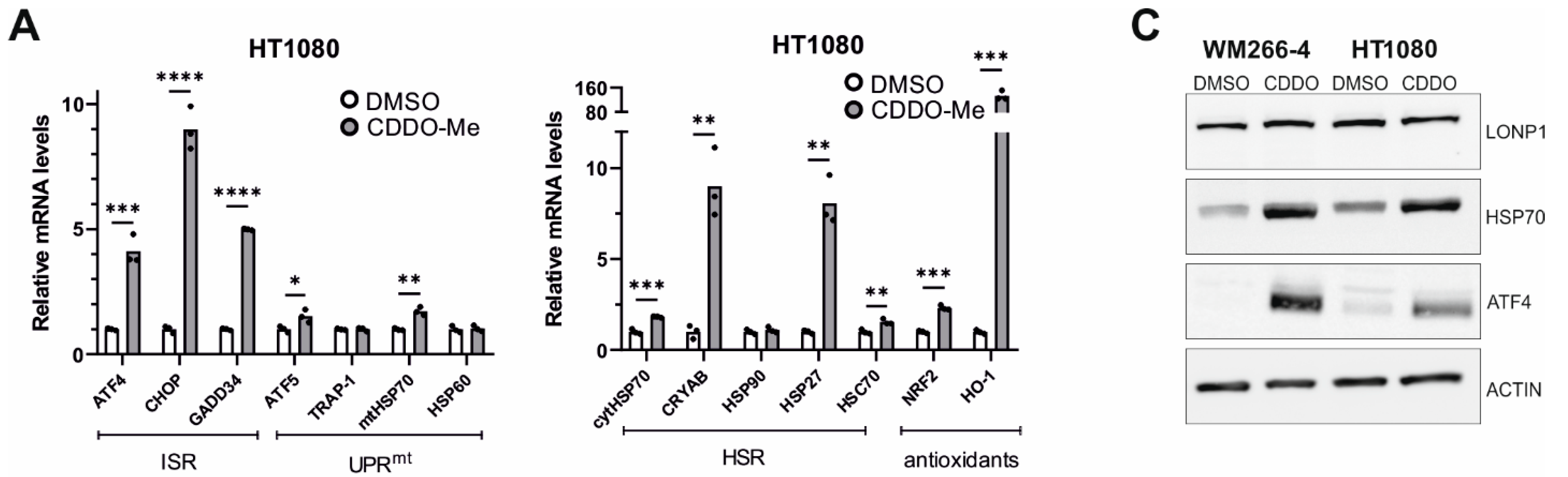 Cells 11 01363 g008a