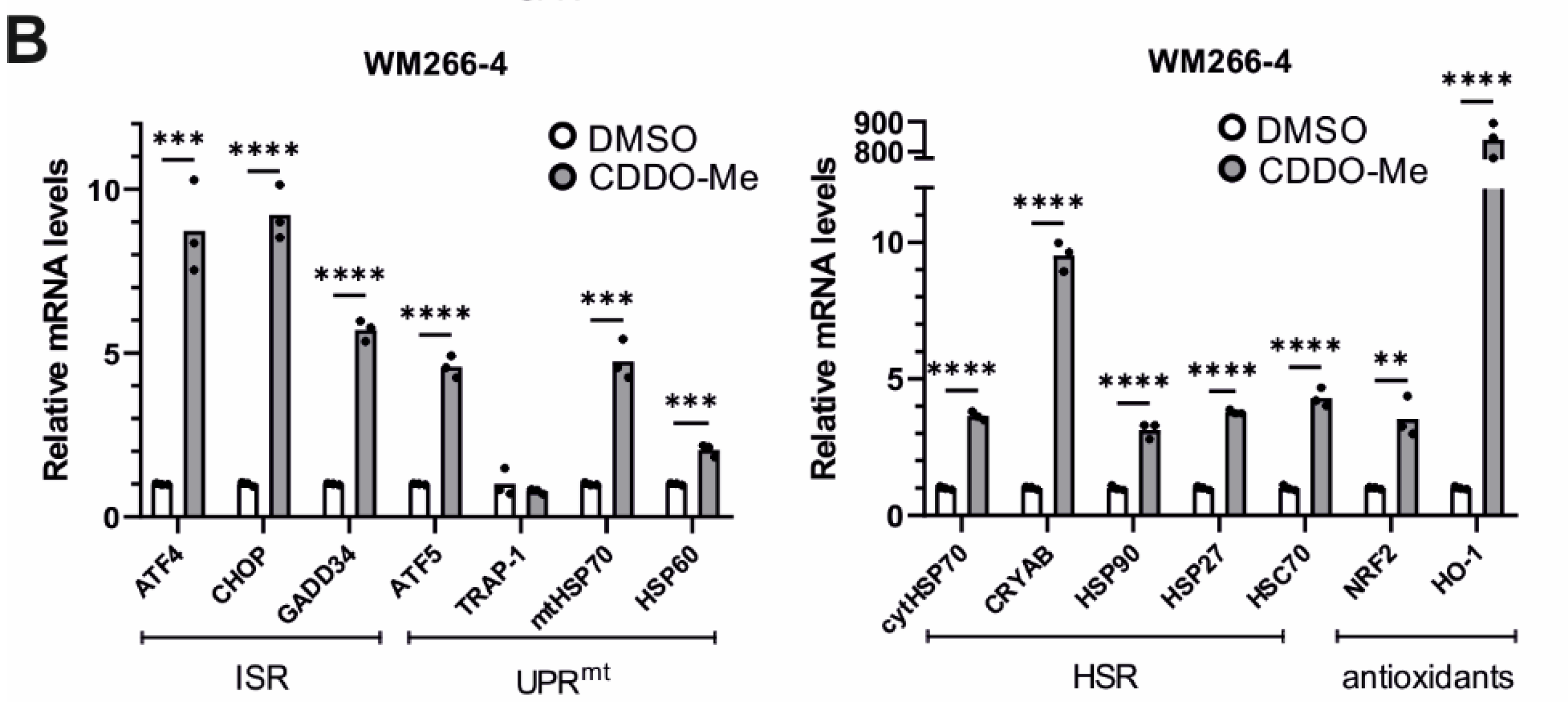 Cells 11 01363 g008b