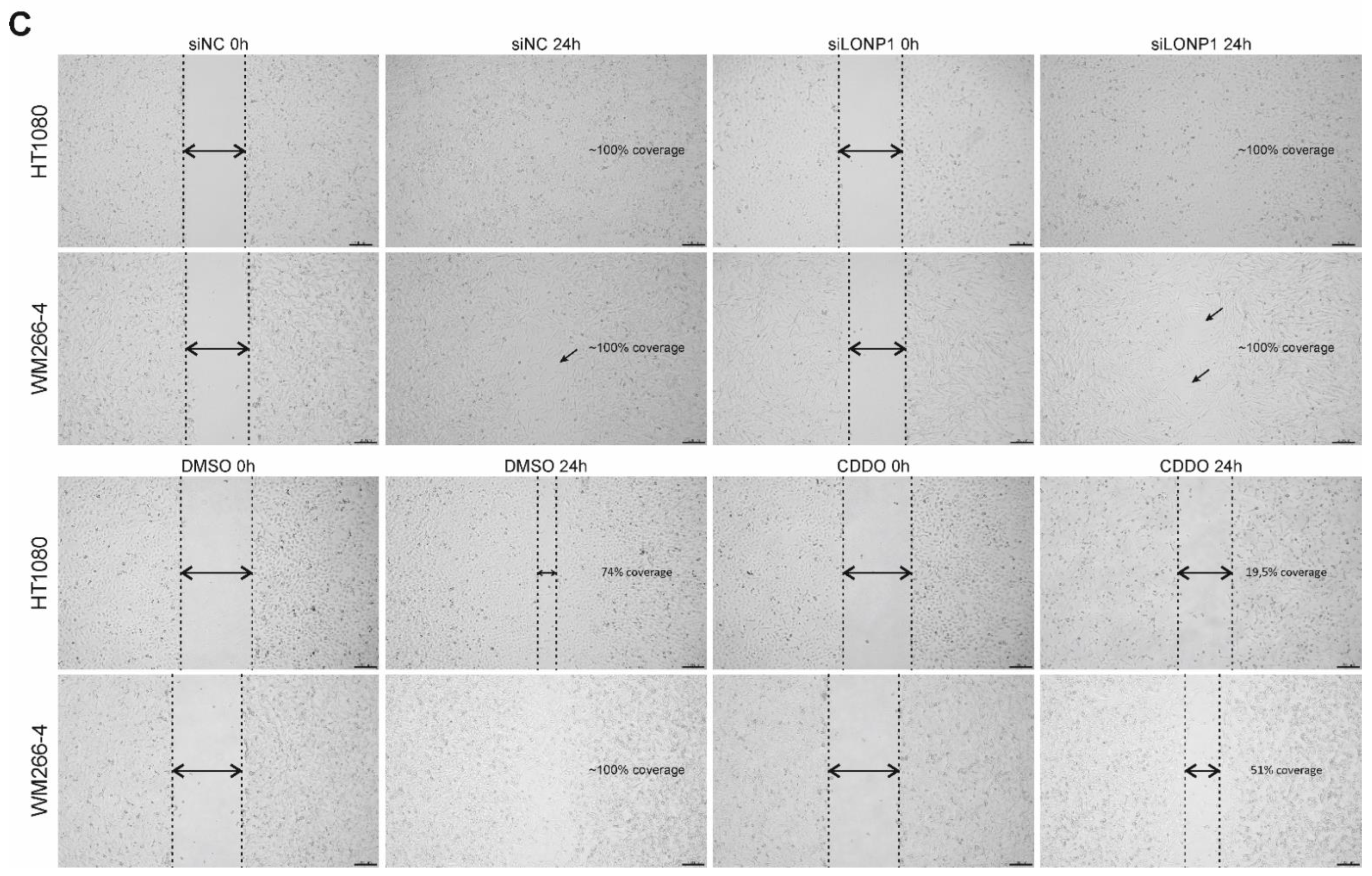 Cells 11 01363 g009b