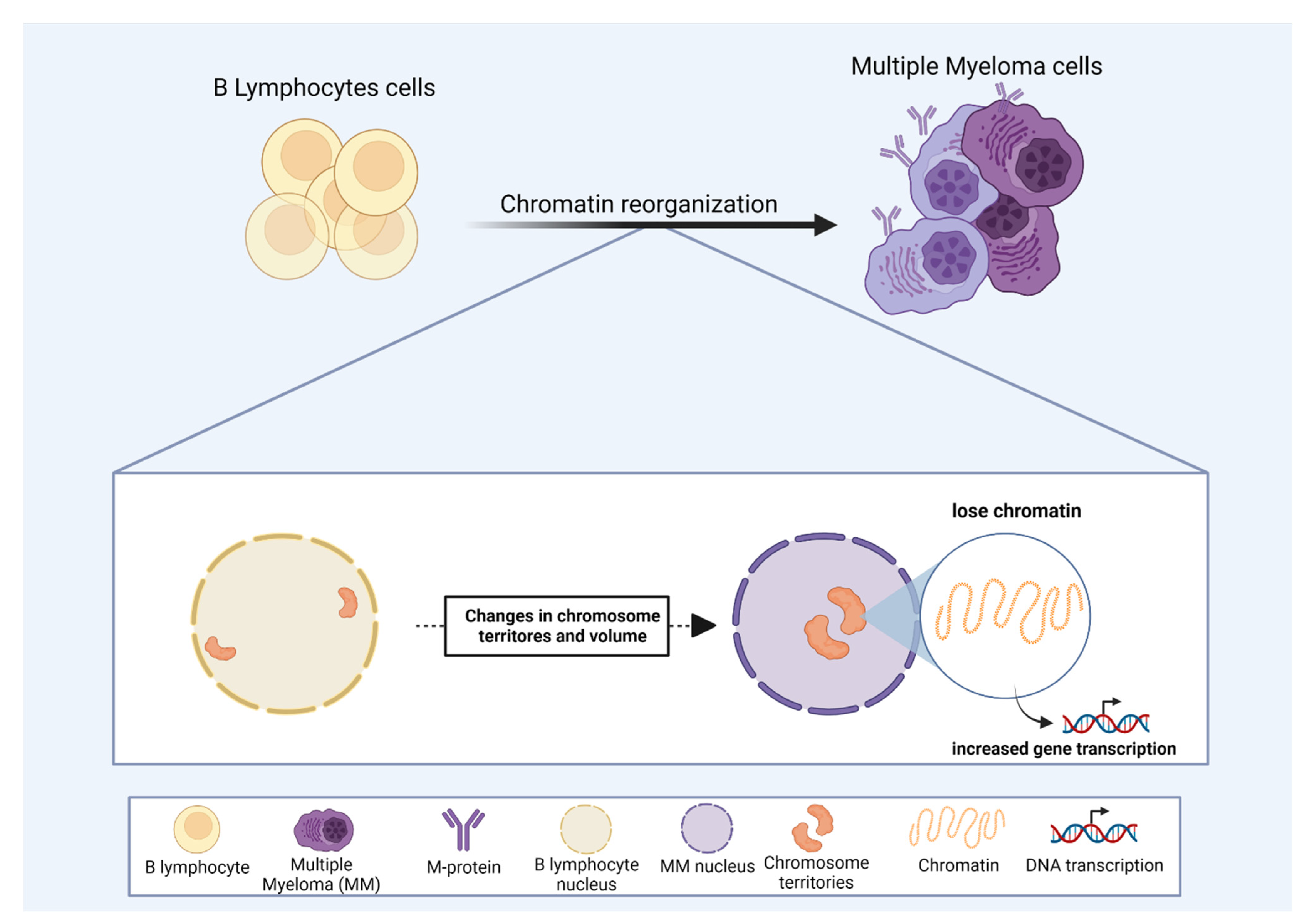 Cells 11 01368 g003 Cells 11 01368 g003
