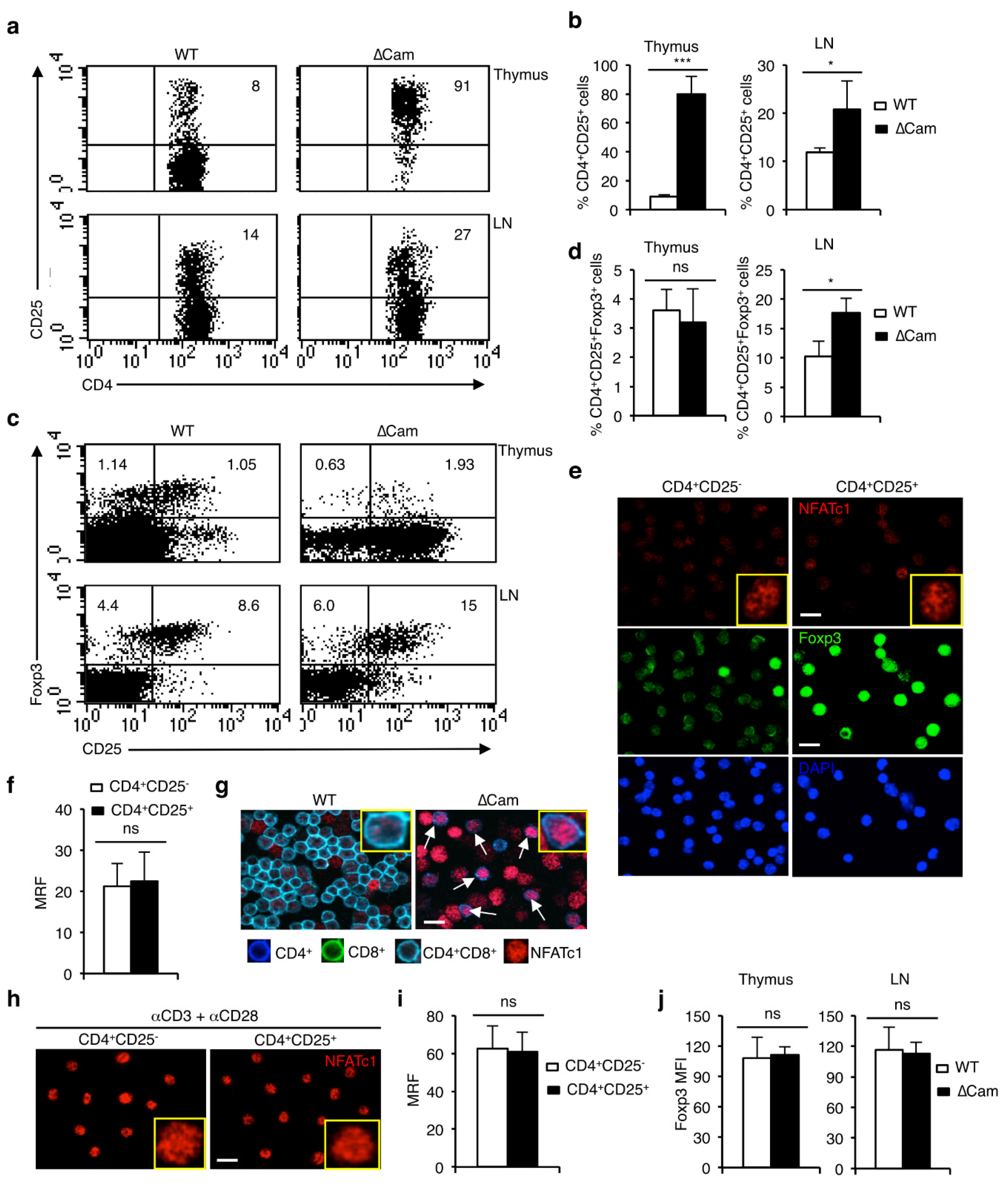 Cells 11 01397 g001 Cells 11 01397 g001