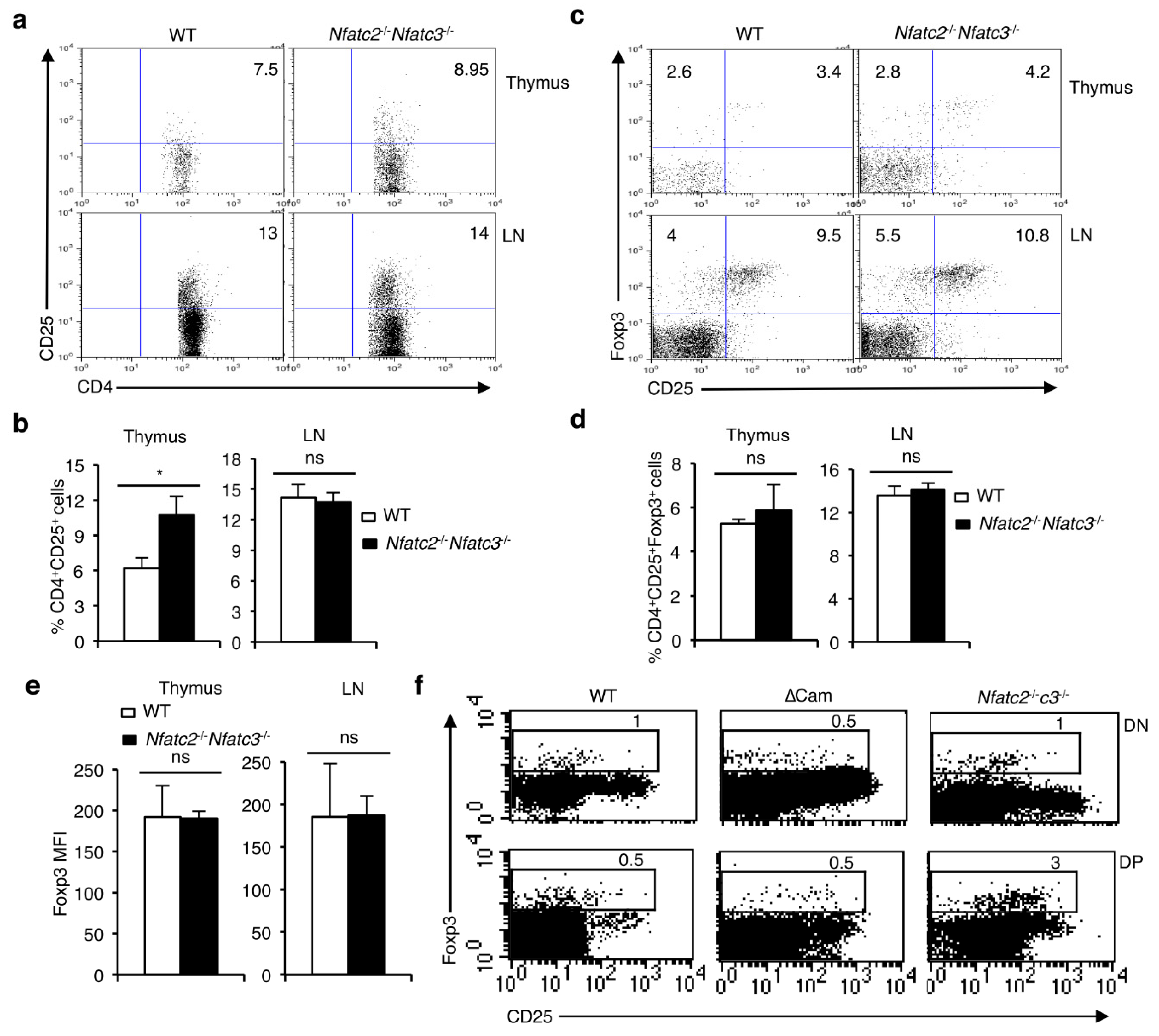 Cells 11 01397 g002 Cells 11 01397 g002