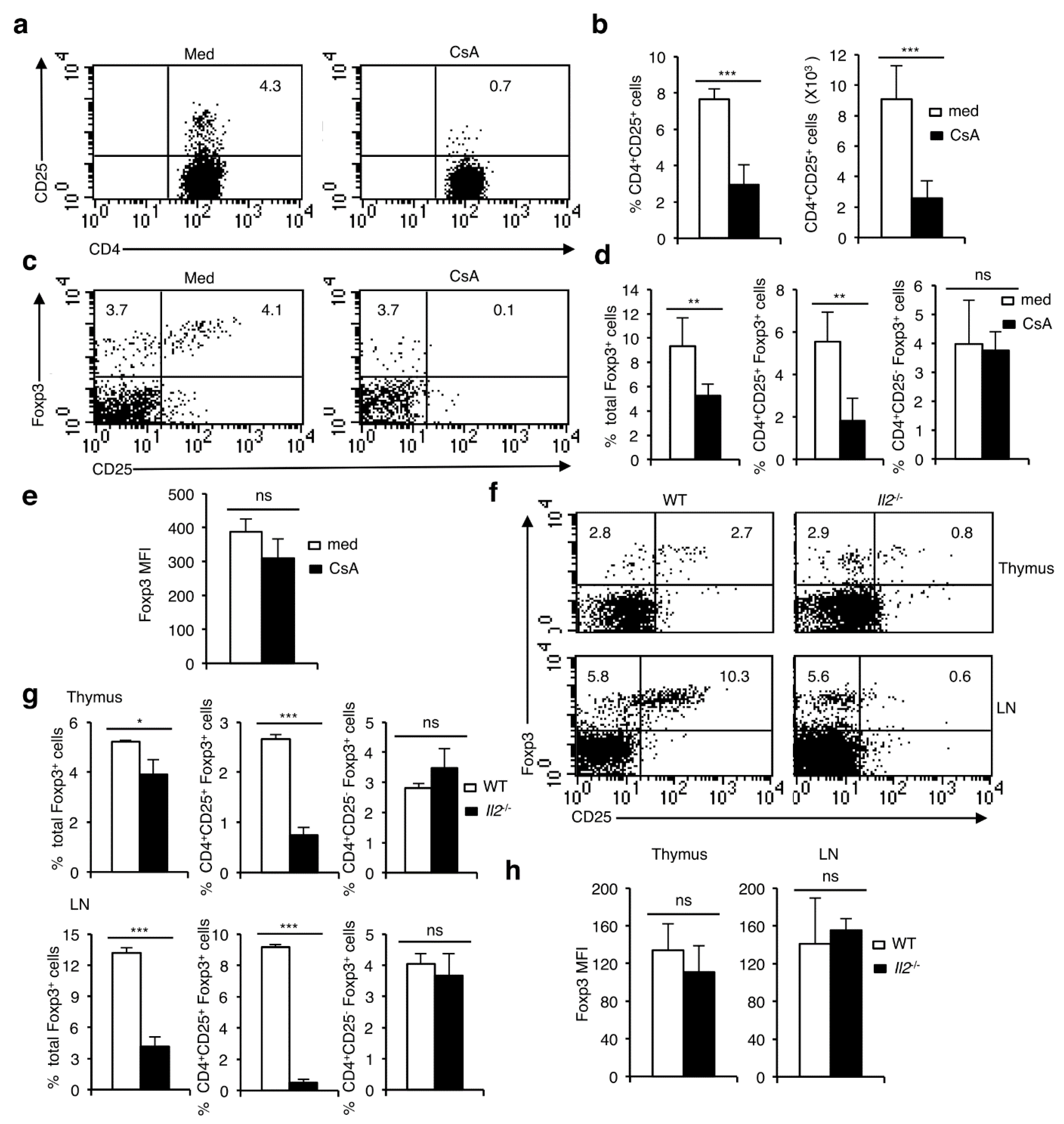Cells 11 01397 g003 Cells 11 01397 g003