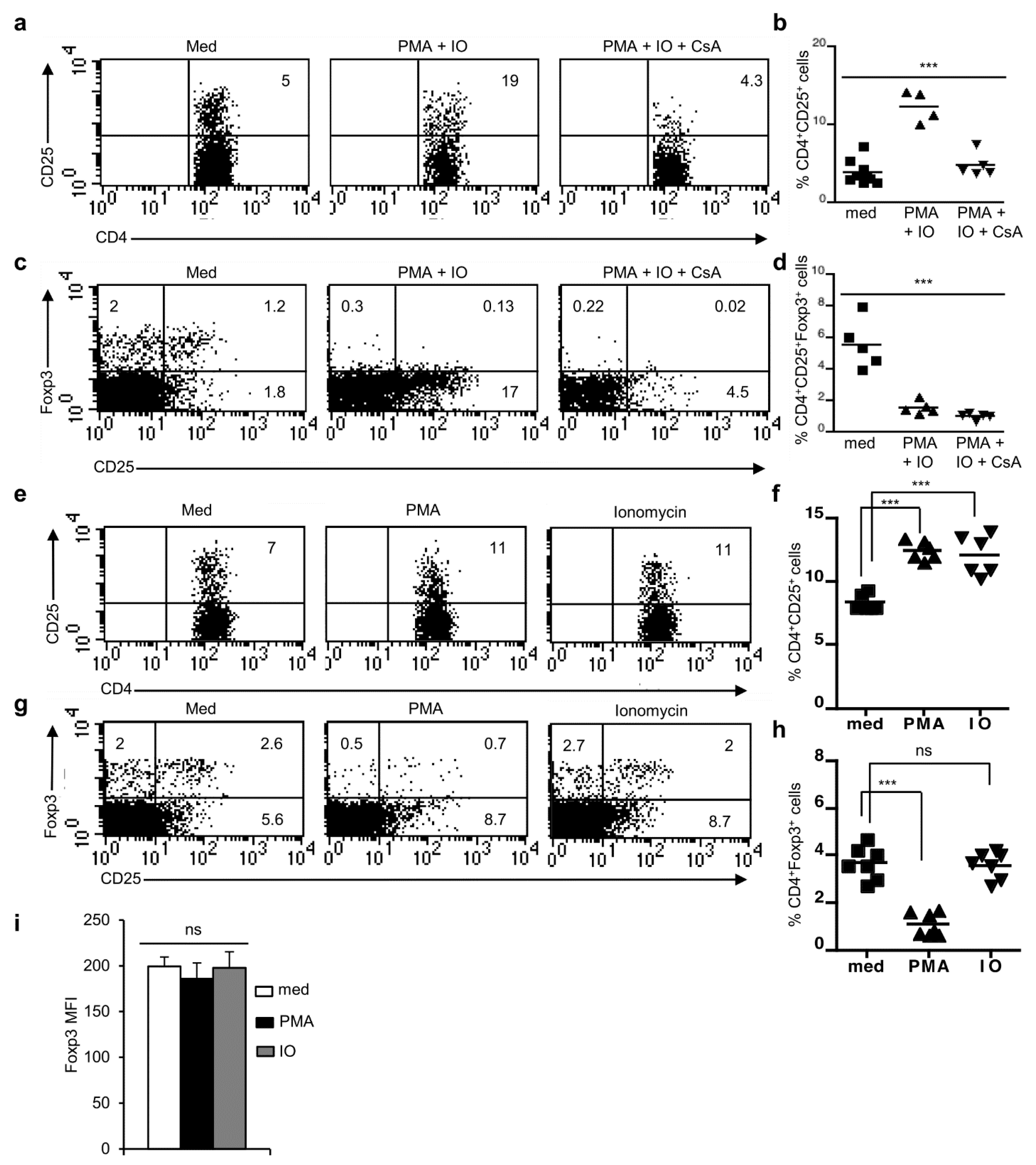 Cells 11 01397 g004 Cells 11 01397 g004