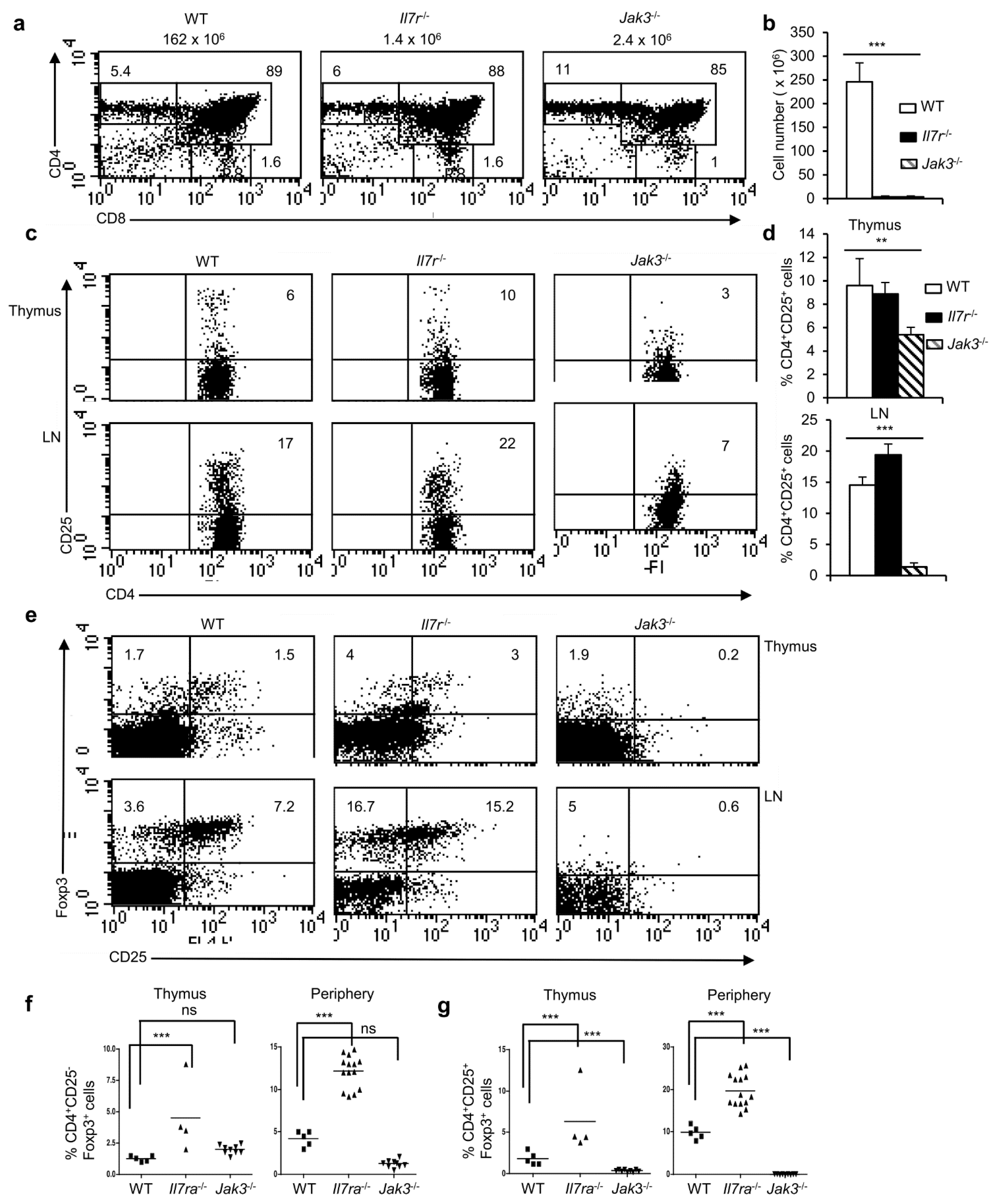 Cells 11 01397 g005 Cells 11 01397 g005